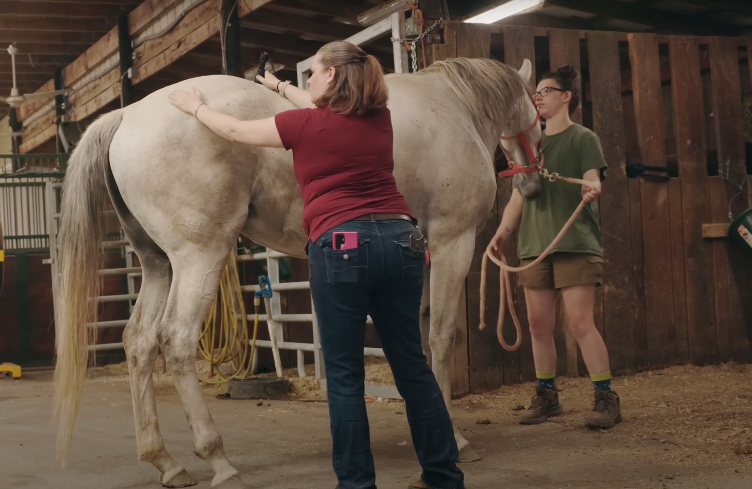 extra horse care tips