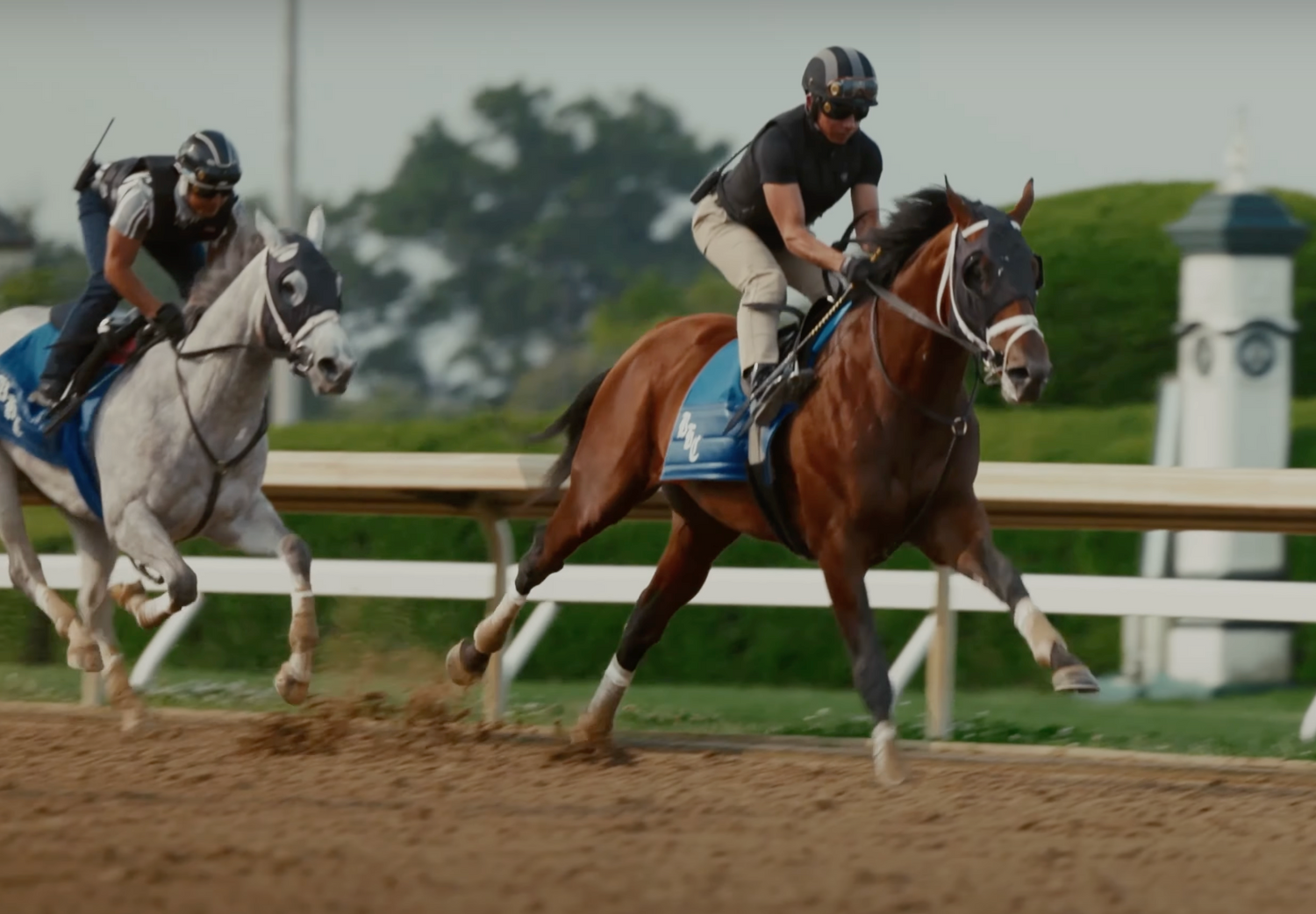 Horses racing on track