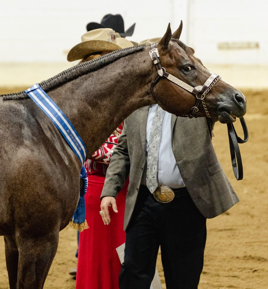 Congress vs AQHA World Show