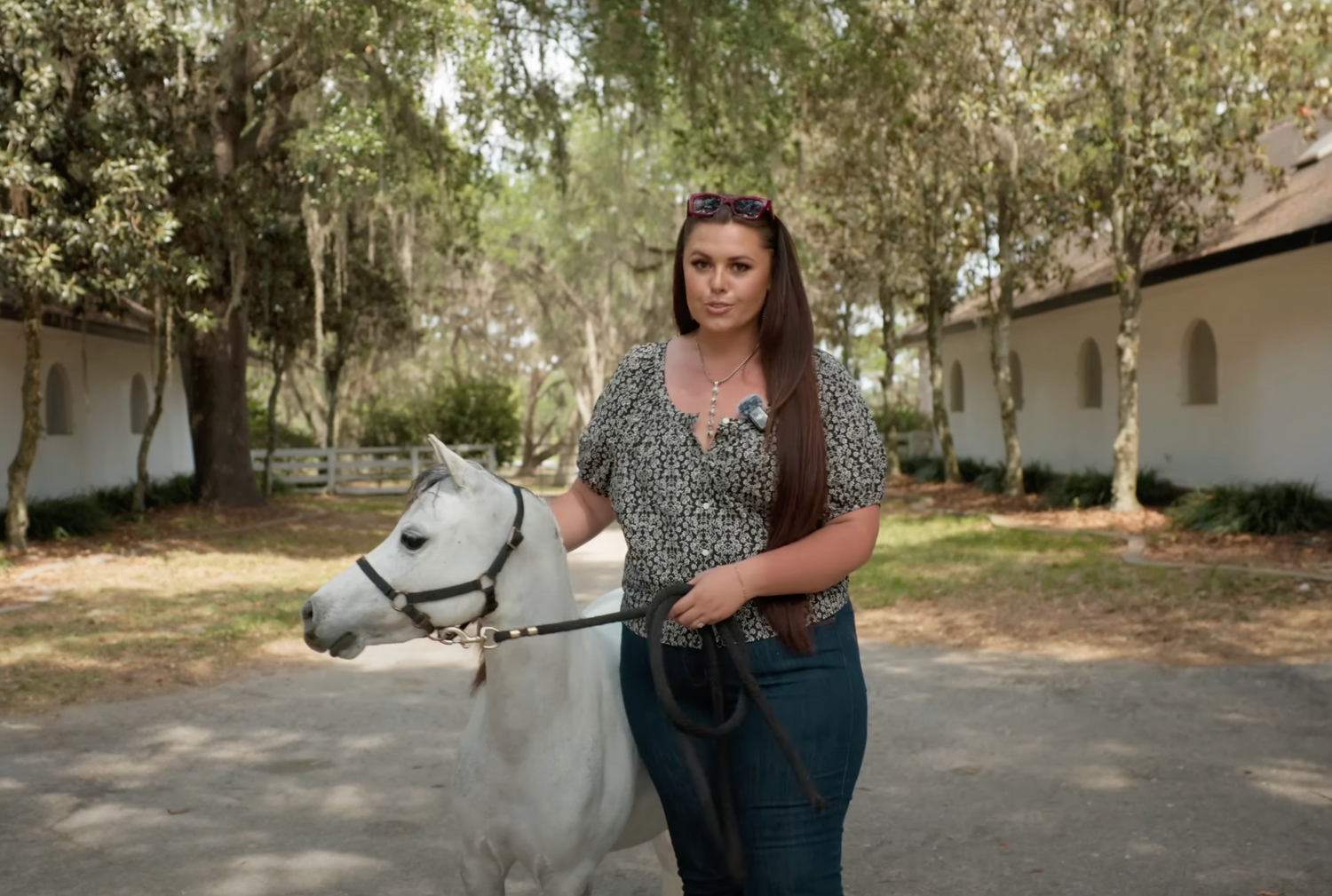 Meet Coco: My New Mini Horse and the Future of Running Springs!