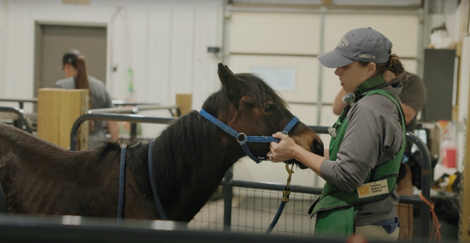 Vet Visit for Baby Seven: Updates on His Recovery Journey