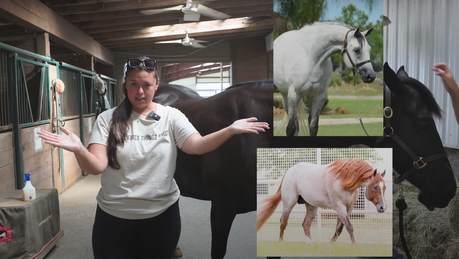 When is Horse Breeding Season? 2026 Foaling Season Preview