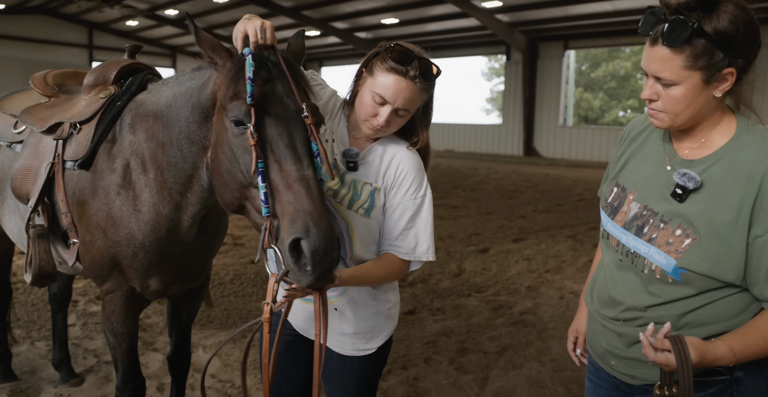 Beginner Horse Riding Lessons: What to Expect in the Barn