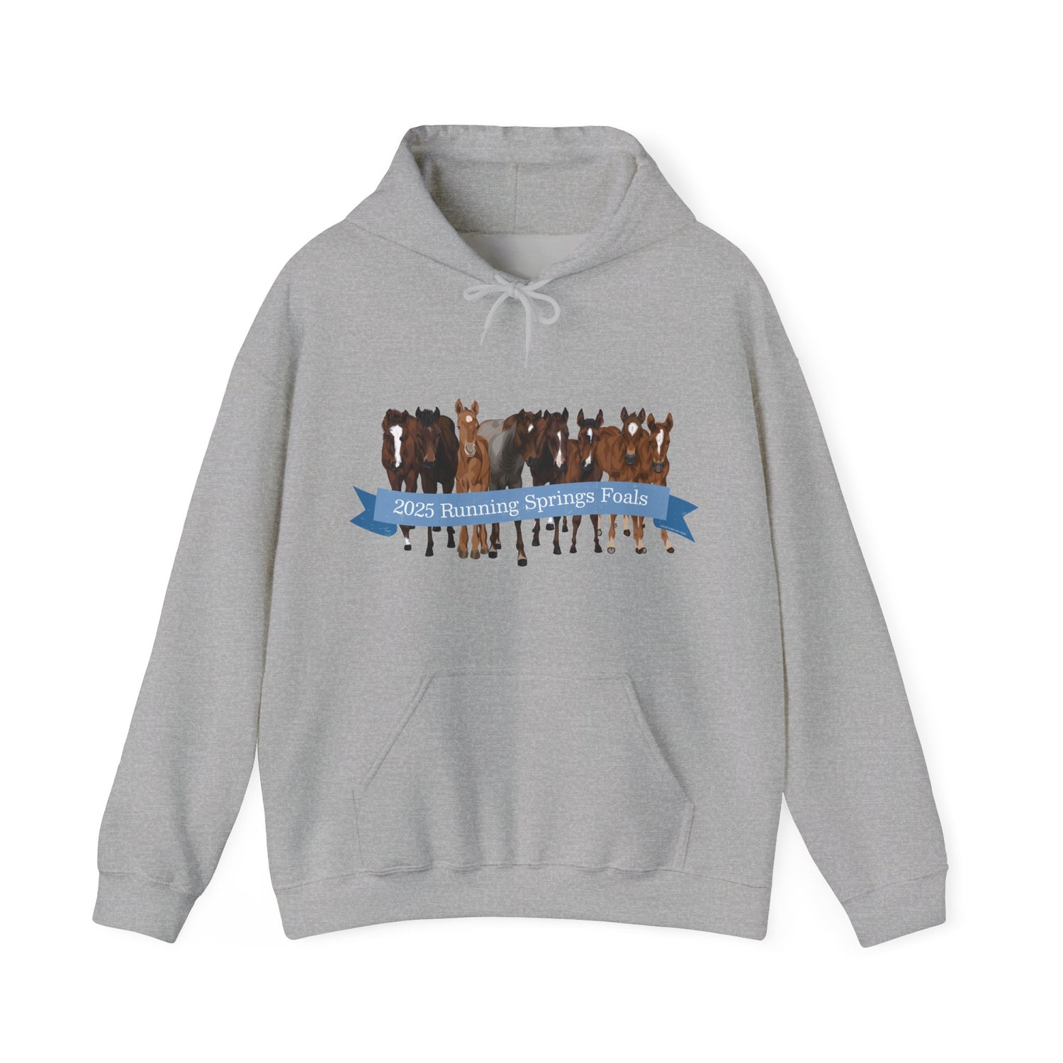 2025 Running Springs Foals Hoodie by Katie Van Slyke™ Sport Grey