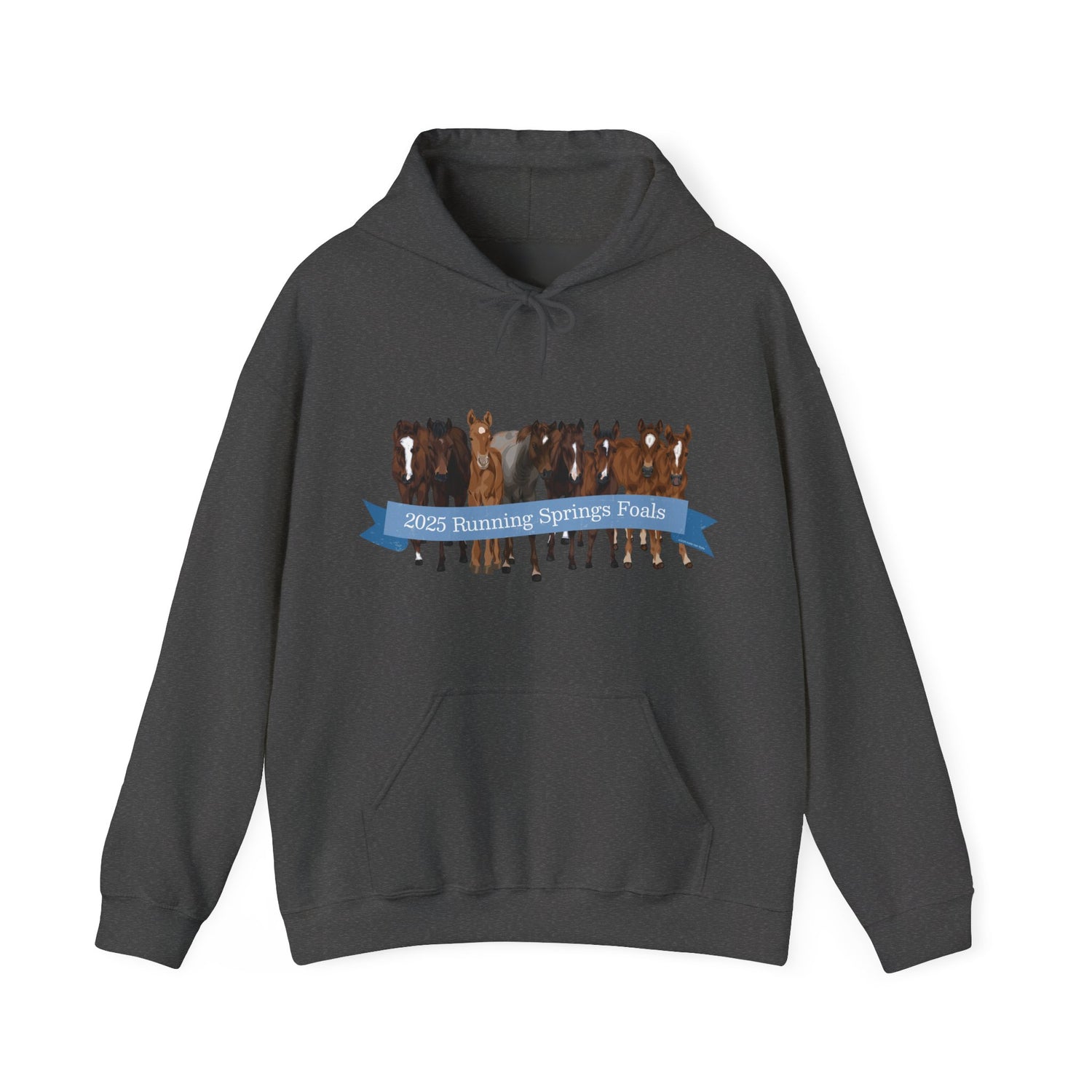 2025 Running Springs Foals Hoodie by Katie Van Slyke™ Dark Heather
