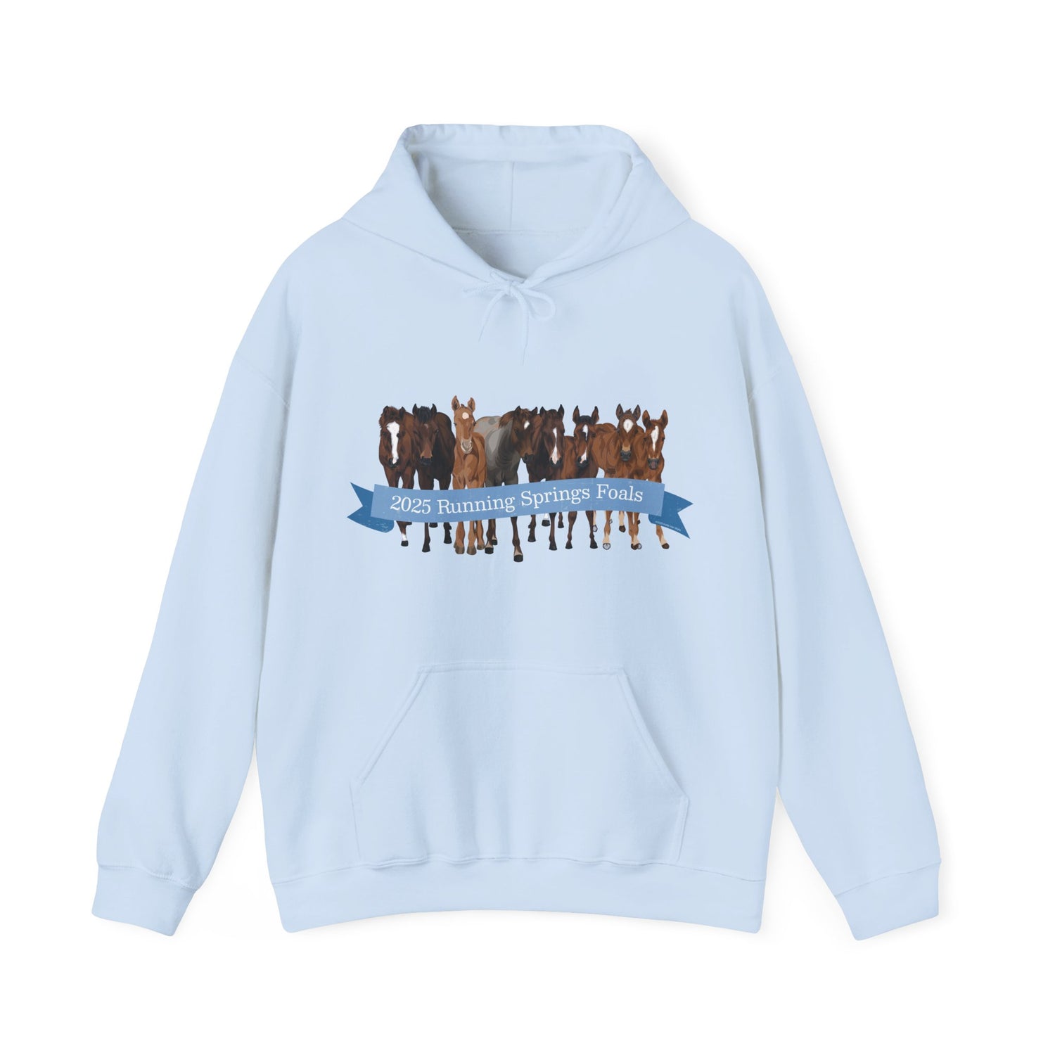 2025 Running Springs Foals Hoodie by Katie Van Slyke™ Light Blue