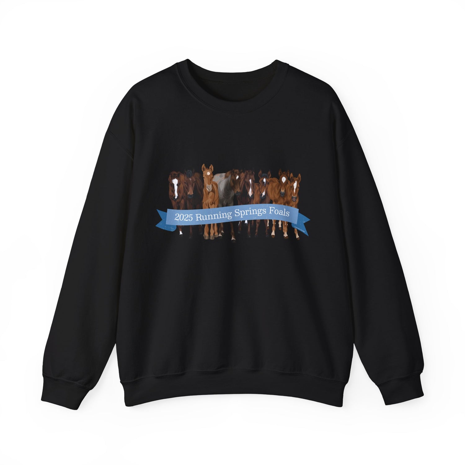 2025 Running Springs Foals Sweatshirt by Katie Van Slyke™ Black