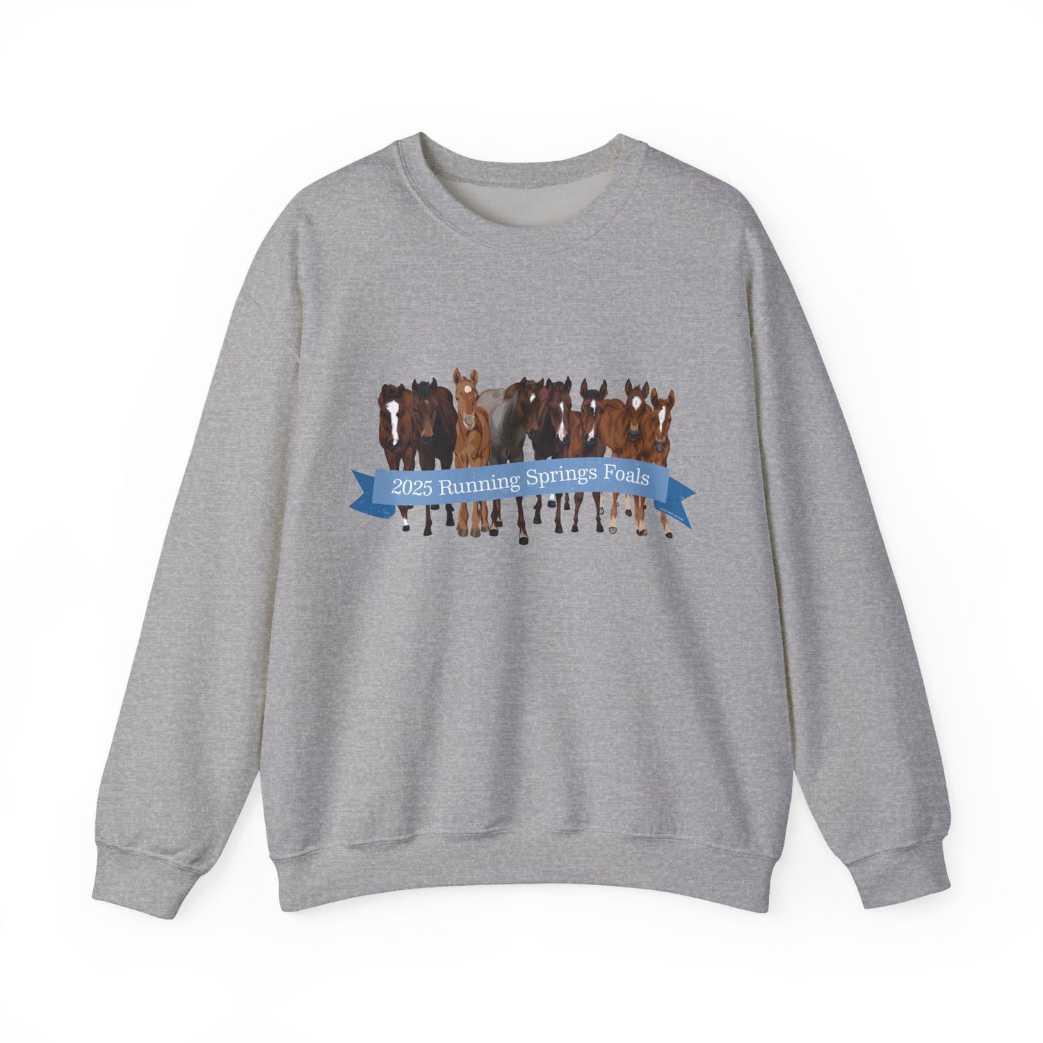 2025 Running Springs Foals Sweatshirt by Katie Van Slyke™ Sport Grey