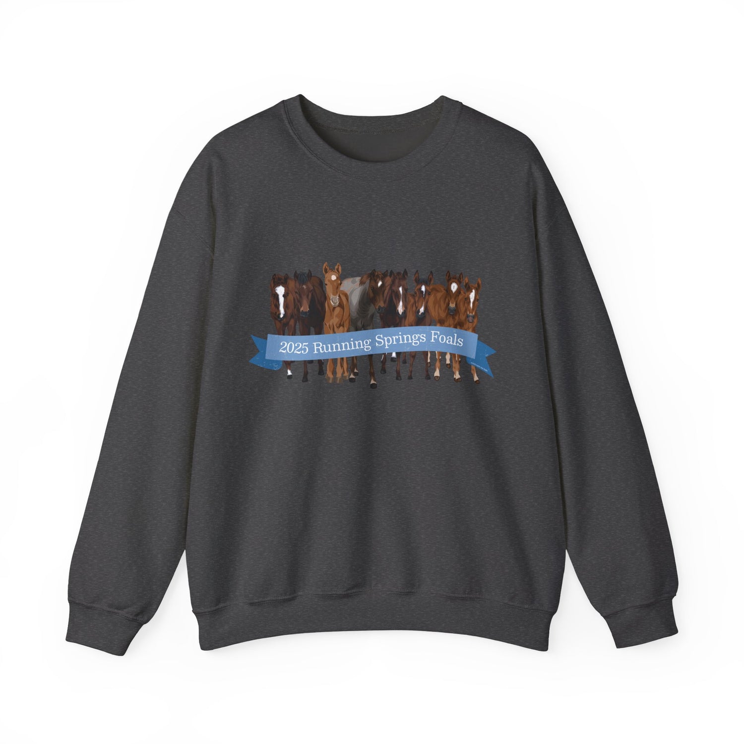 2025 Running Springs Foals Sweatshirt by Katie Van Slyke™ Dark Heather