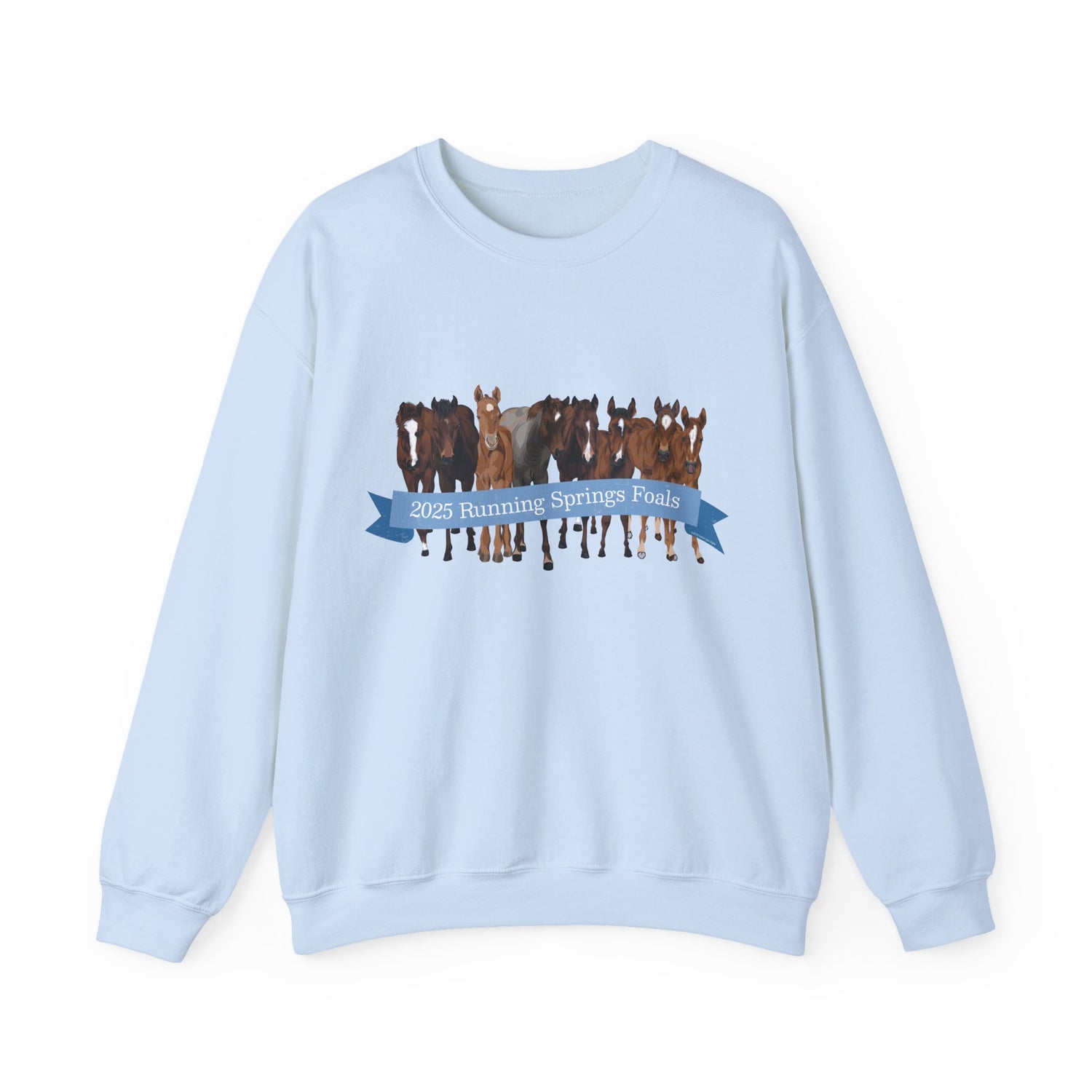 2025 Running Springs Foals Sweatshirt by Katie Van Slyke™ Light Blue