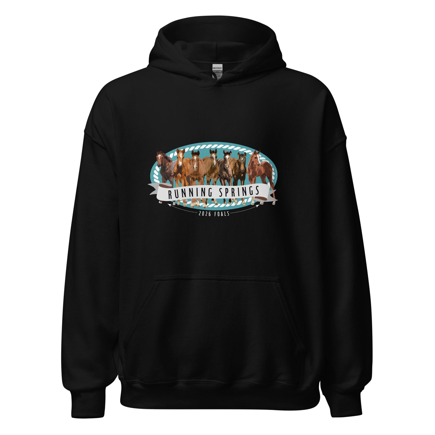 2026 Foals Lineup Hoodie by Katie Van Slyke - Black
