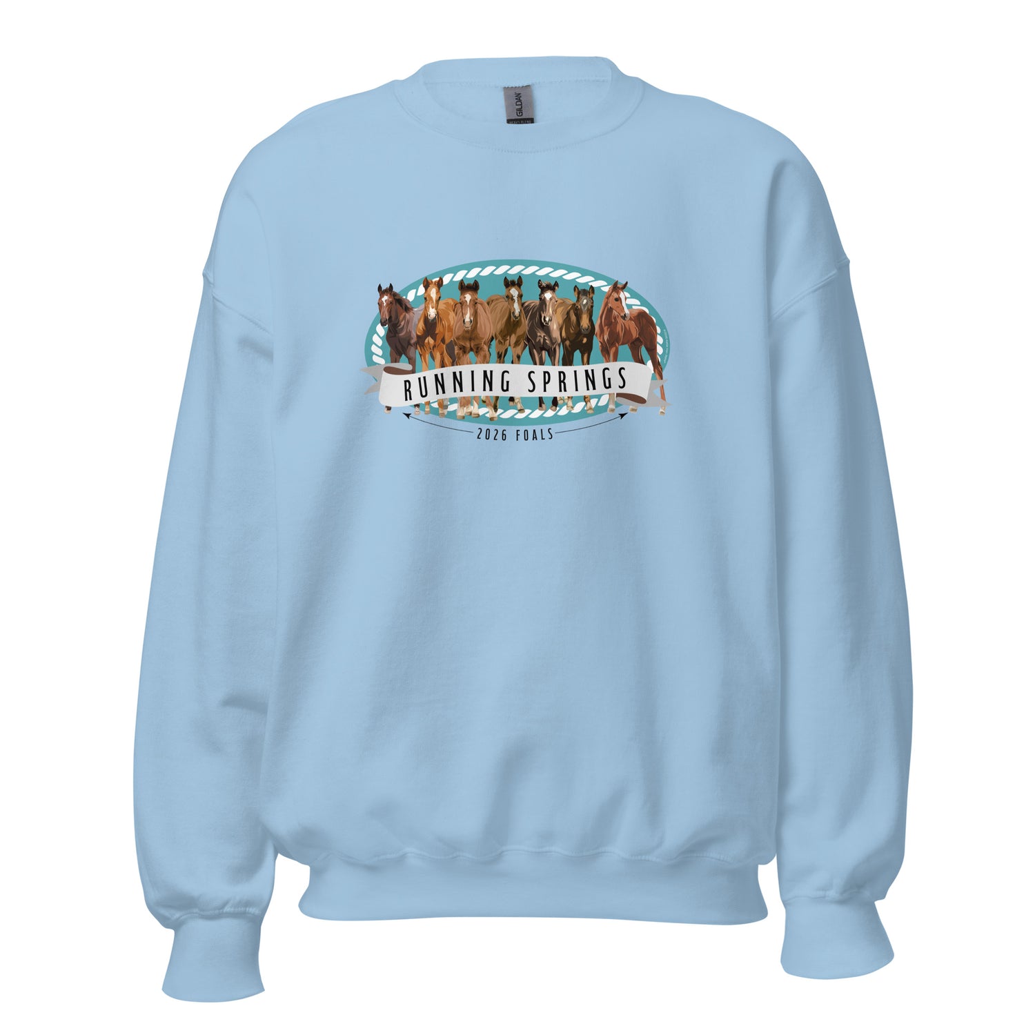 2026 Foals Lineup Sweatshirt by Katie Van Slyke - Light Blue
