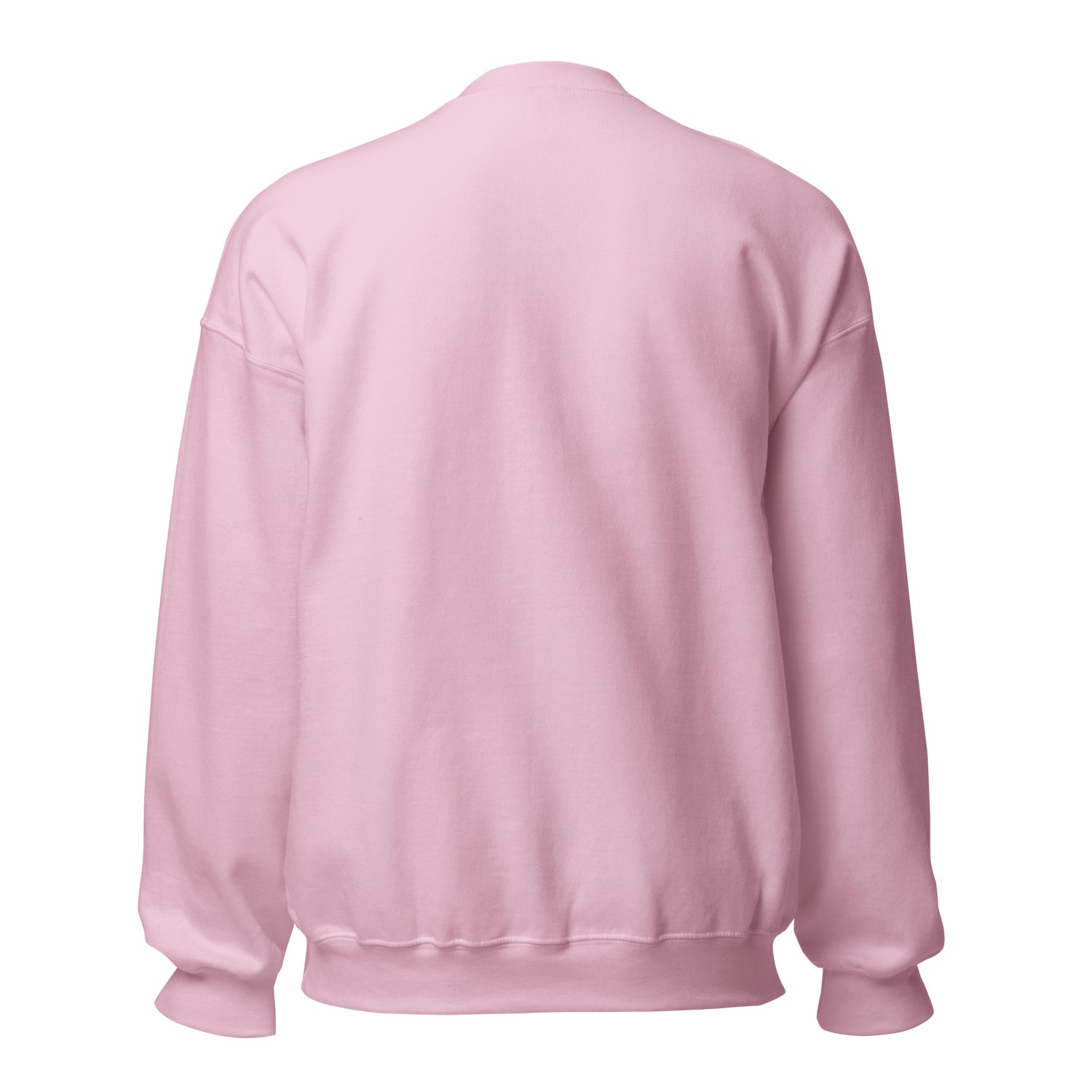2026-foals-sweatshirt-by-katie-van-slyke-light-pink-back