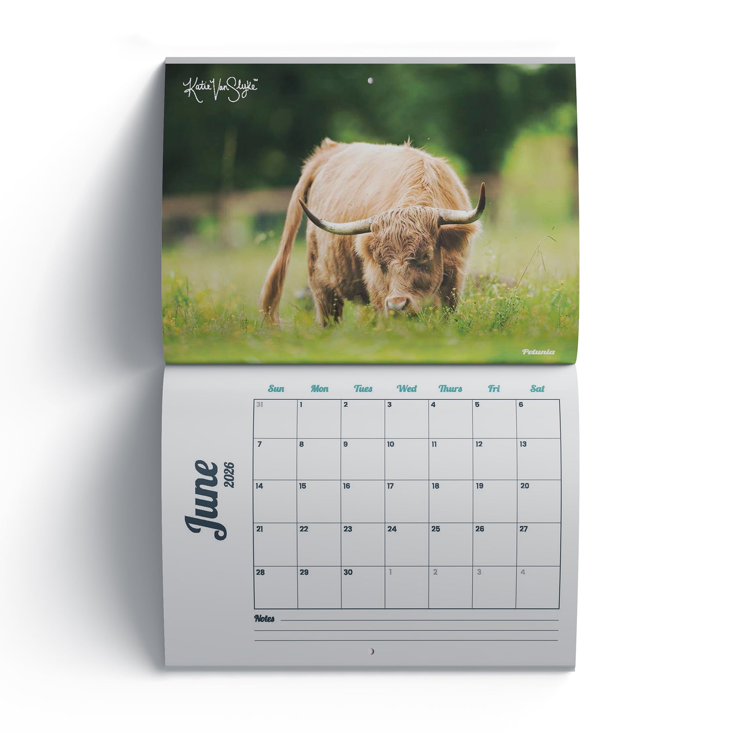 2026 Mini Cow Calendar by Katie Van Slyke™ June