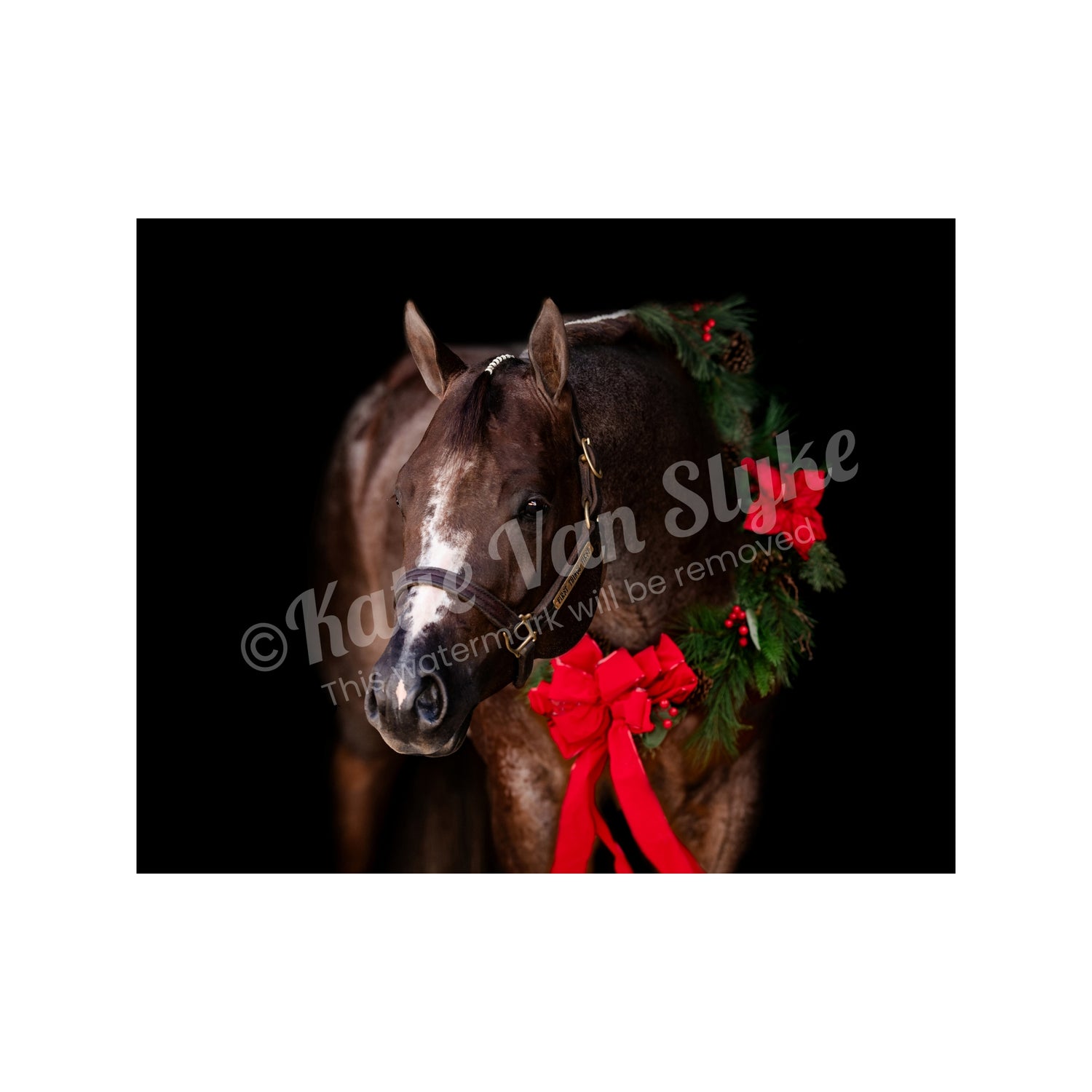 Denver Christmas Digital Download by Katie Van Slyke™