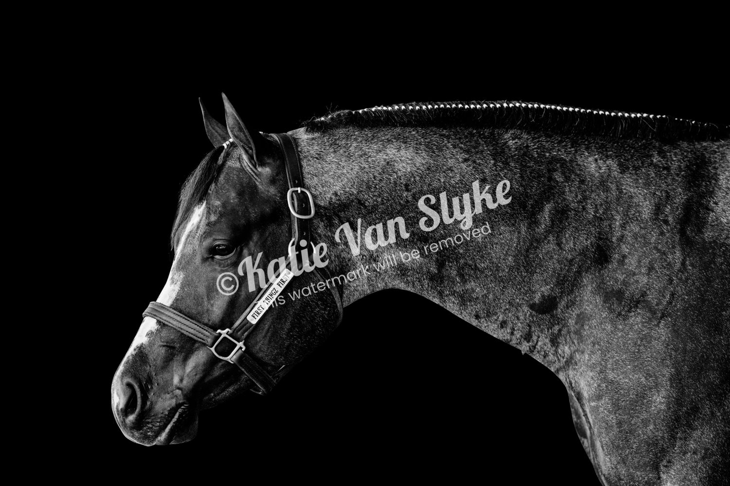 Denver Digital Download by Katie Van Slyke®