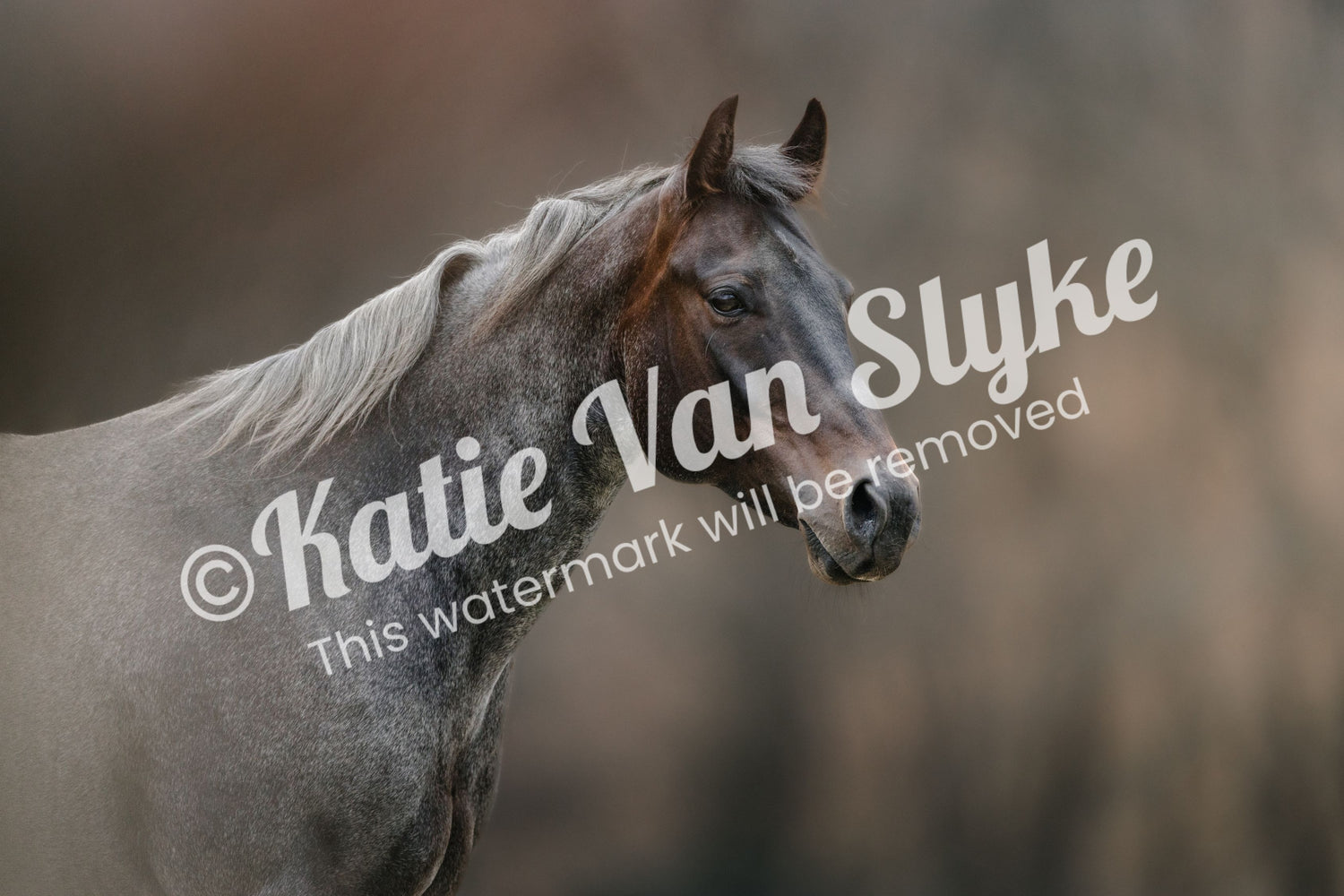 Ethel Digital Download by Katie Van Slyke™