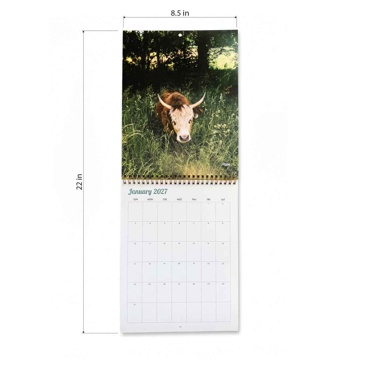 2027 Mini Cows Calendar by Katie Van Slyke®