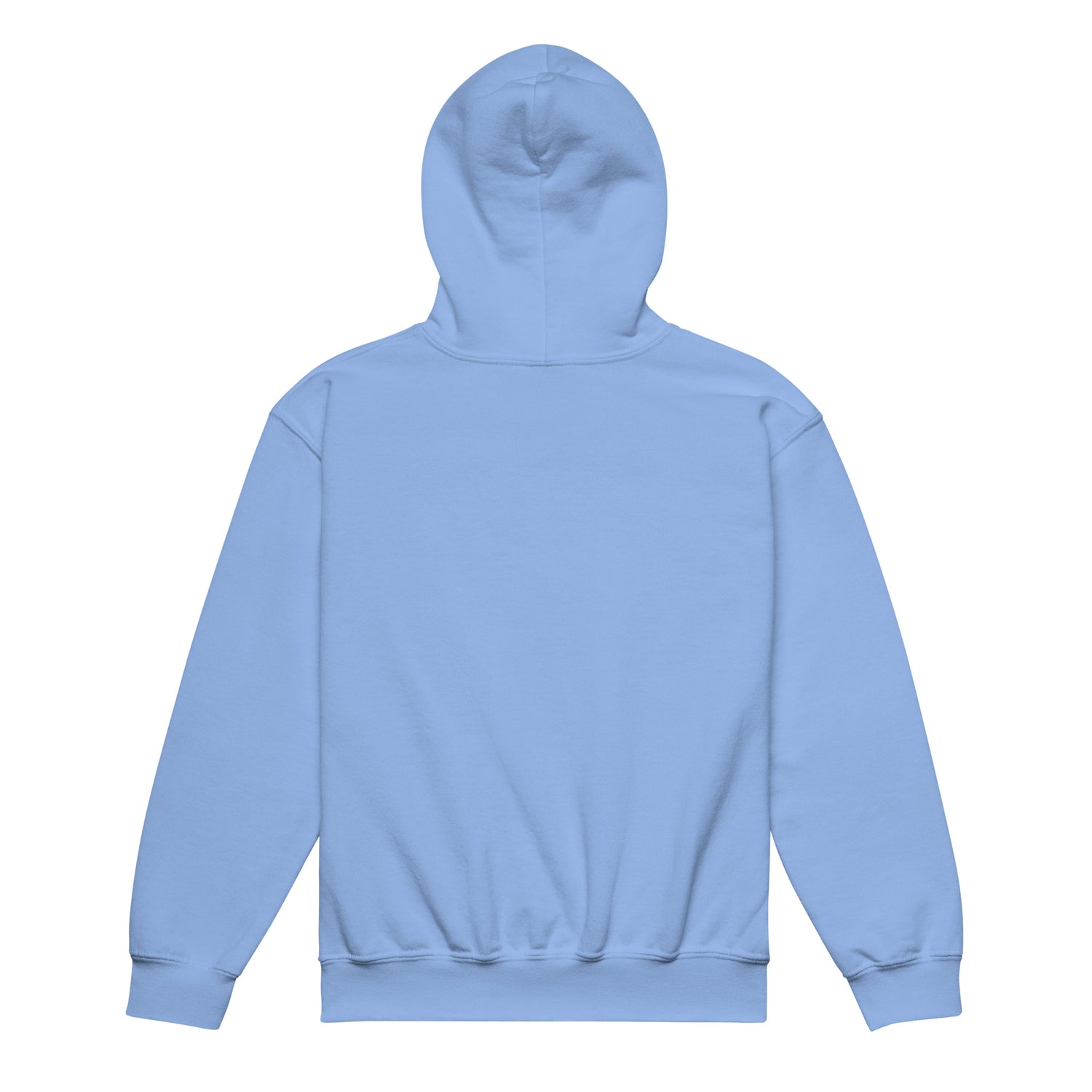 KIDS VS Code Red Hoodie by Katie Van Slyke - Carolina Blue back