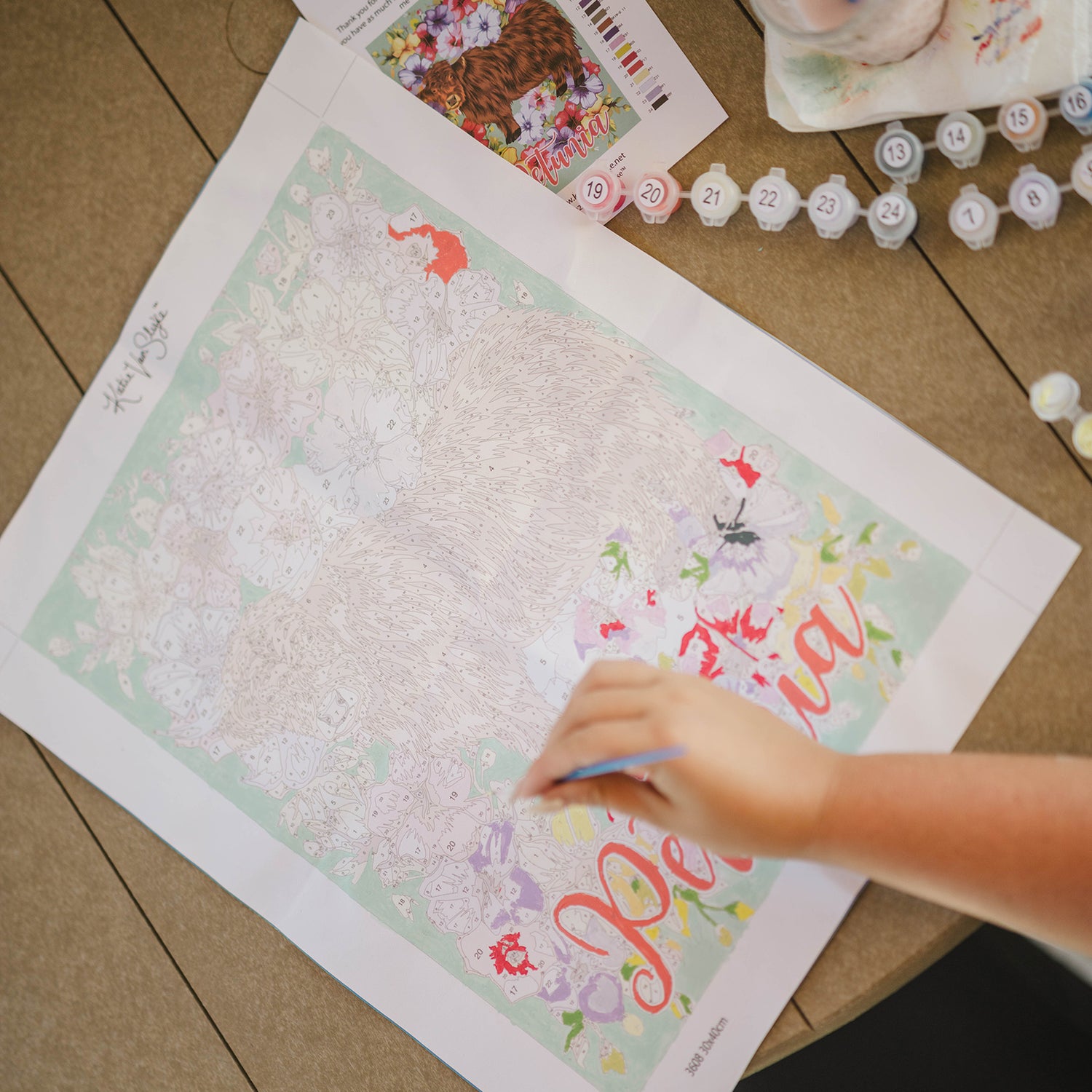 KVS_PBN-Petunia_4_PDP