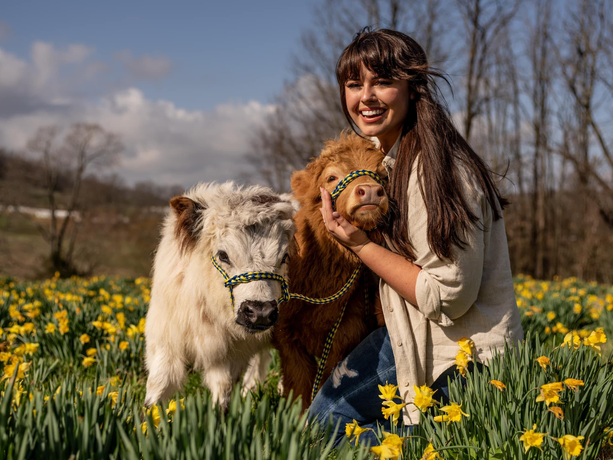 Katie Van Slyke - Shop, Read her blog, Contact and More.