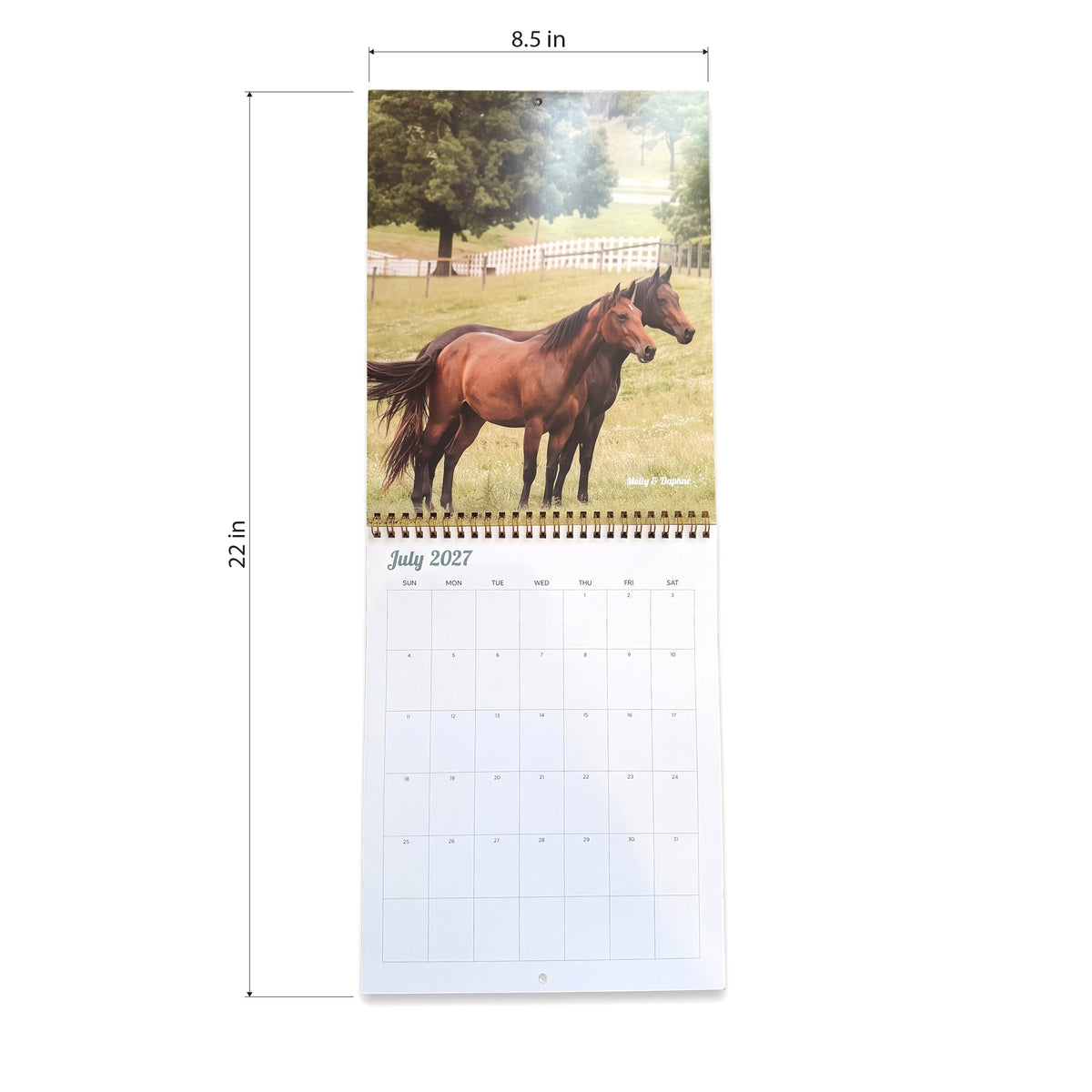 2027 Mares Calendar by Katie Van Slyke®
