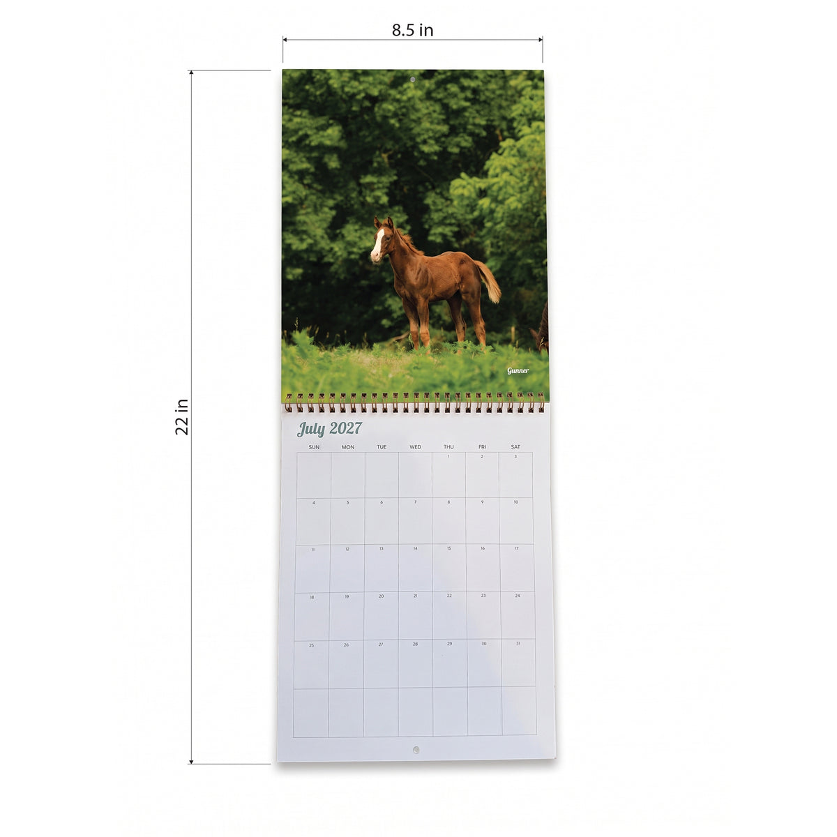 2027 Foals Calendar by Katie Van Slyke®