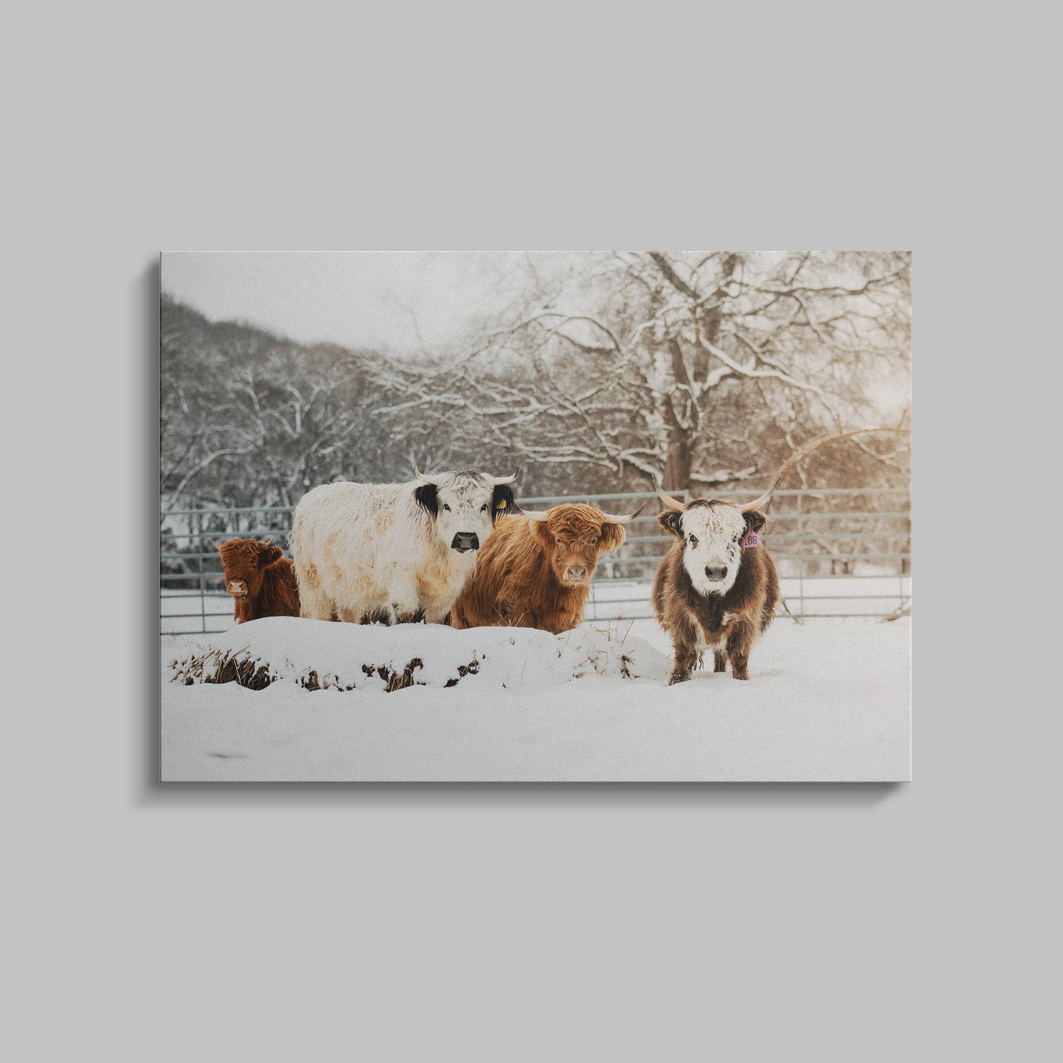 Mini Cows Snow Digital Download by Katie Van Slyke