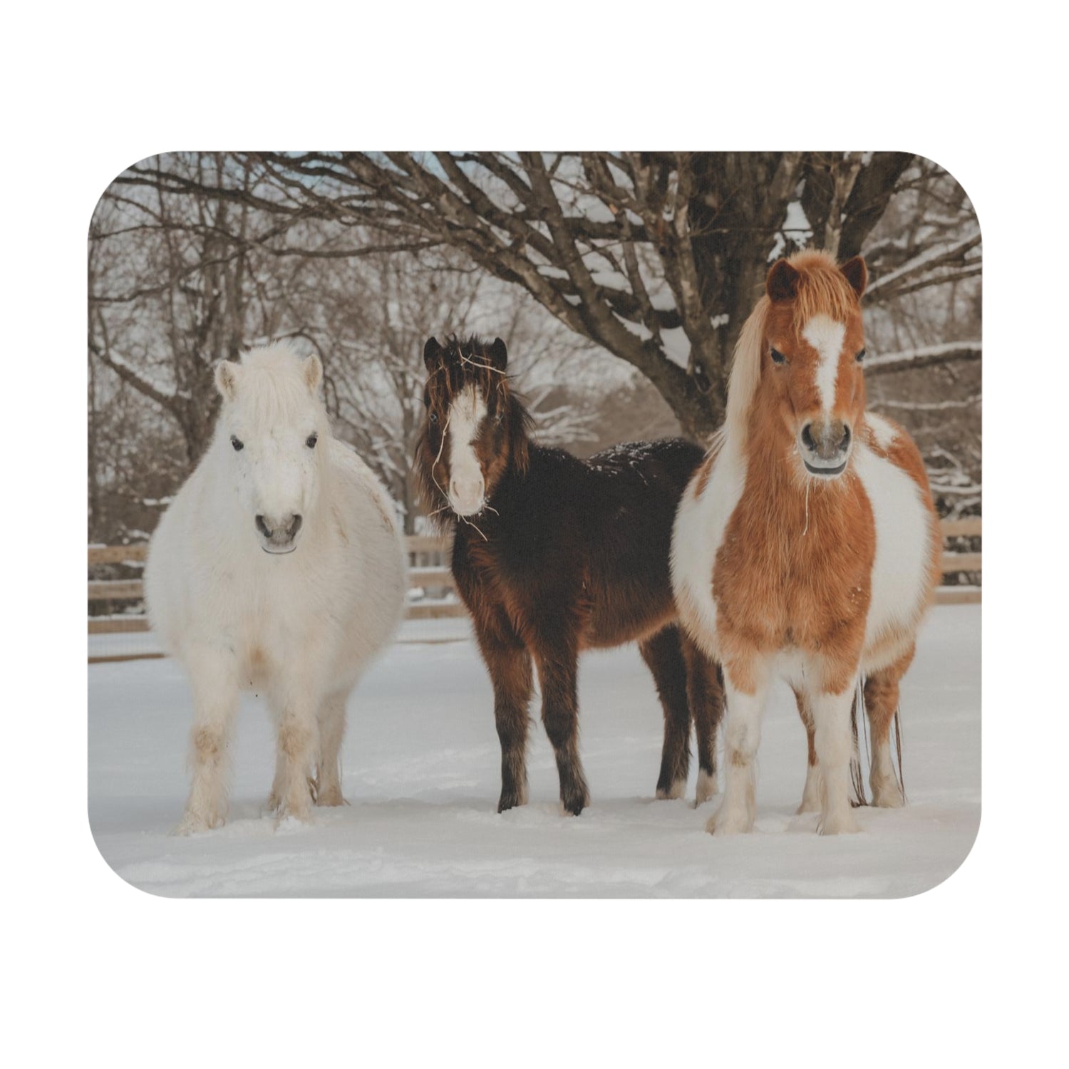 Mini Mares Mouse Pad by Katie Van Slyke