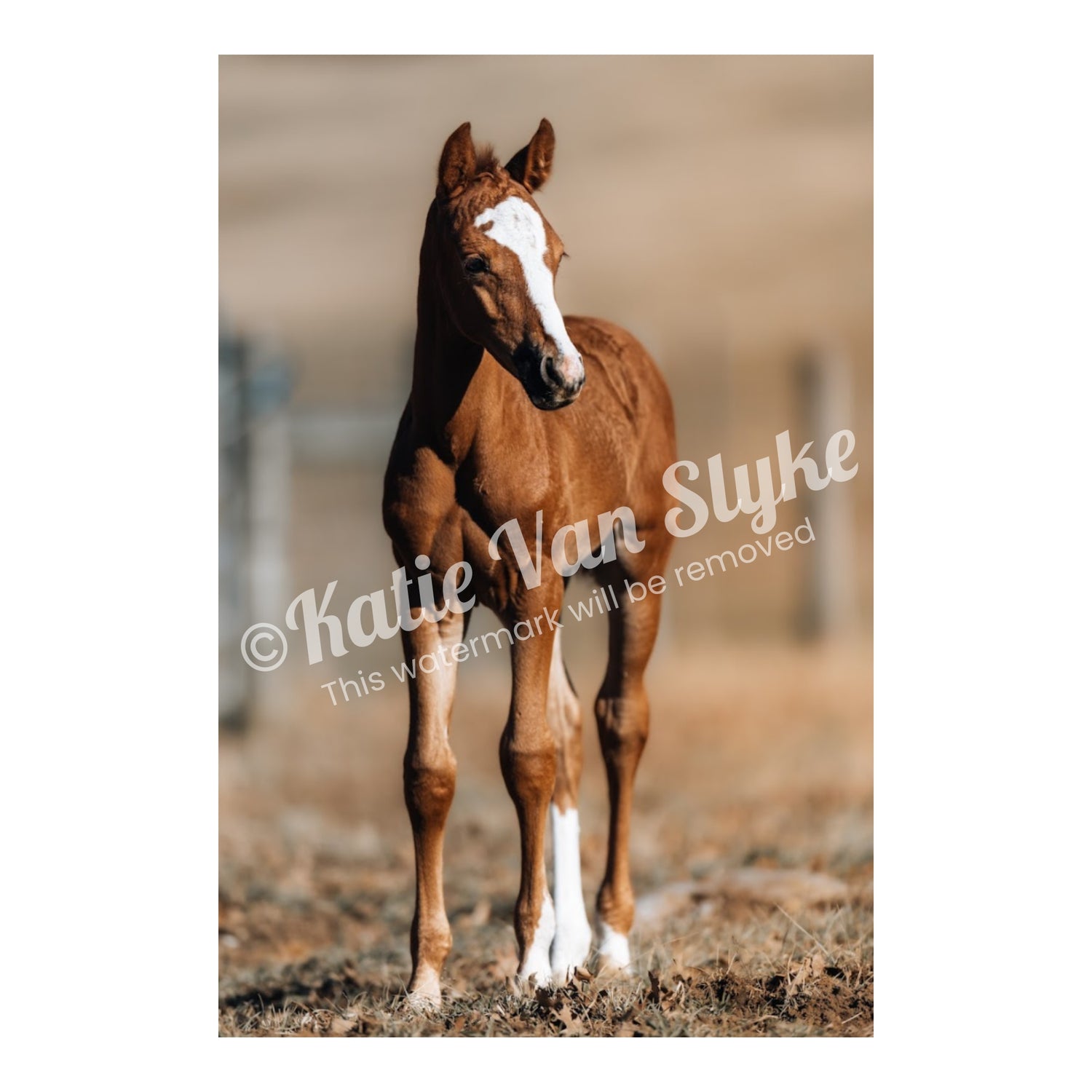 Noelle Digital Download by Katie Van Slyke™