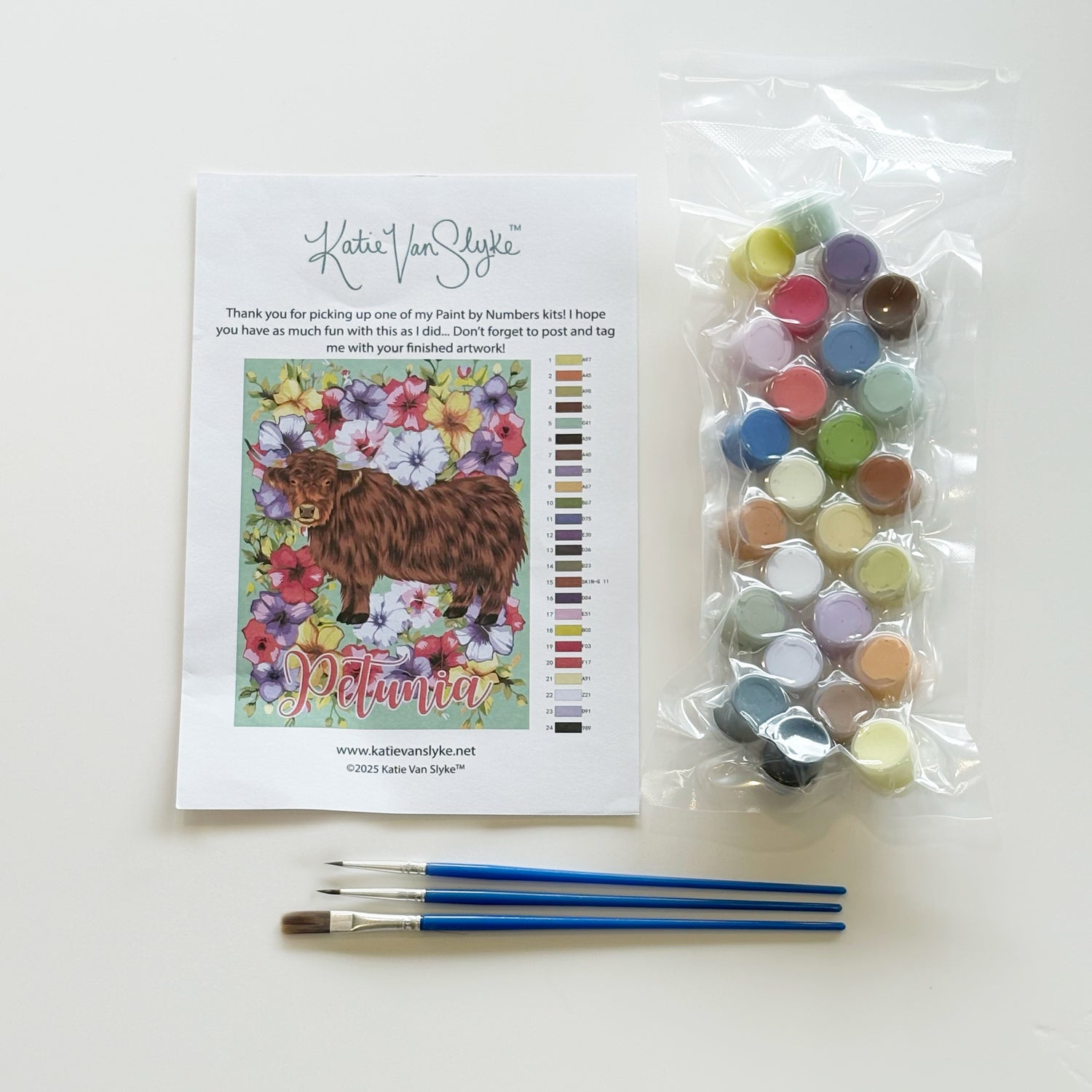 PaintByNumbersToolsPetunia