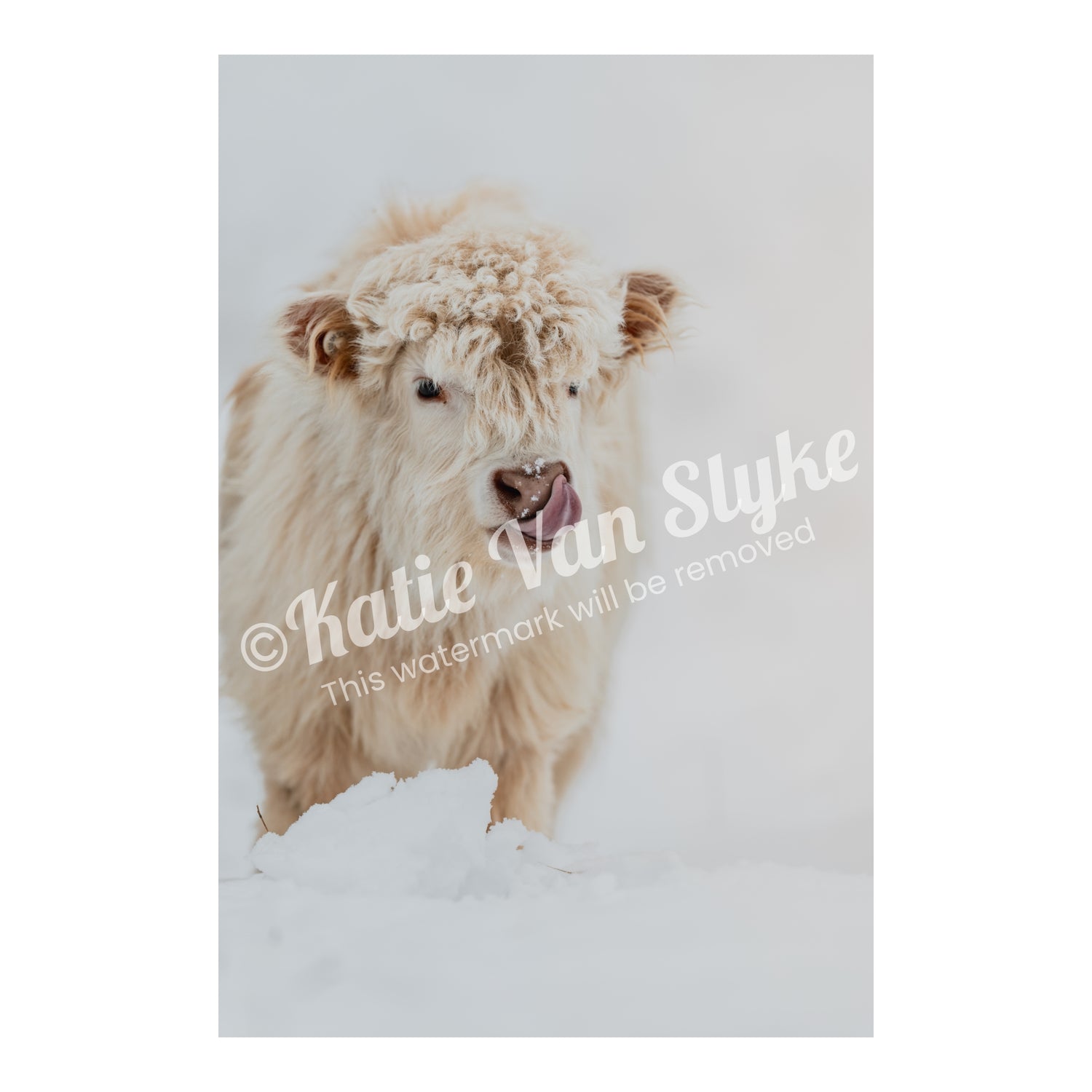 Pearl Snow Digital Download by Katie Van Slyke