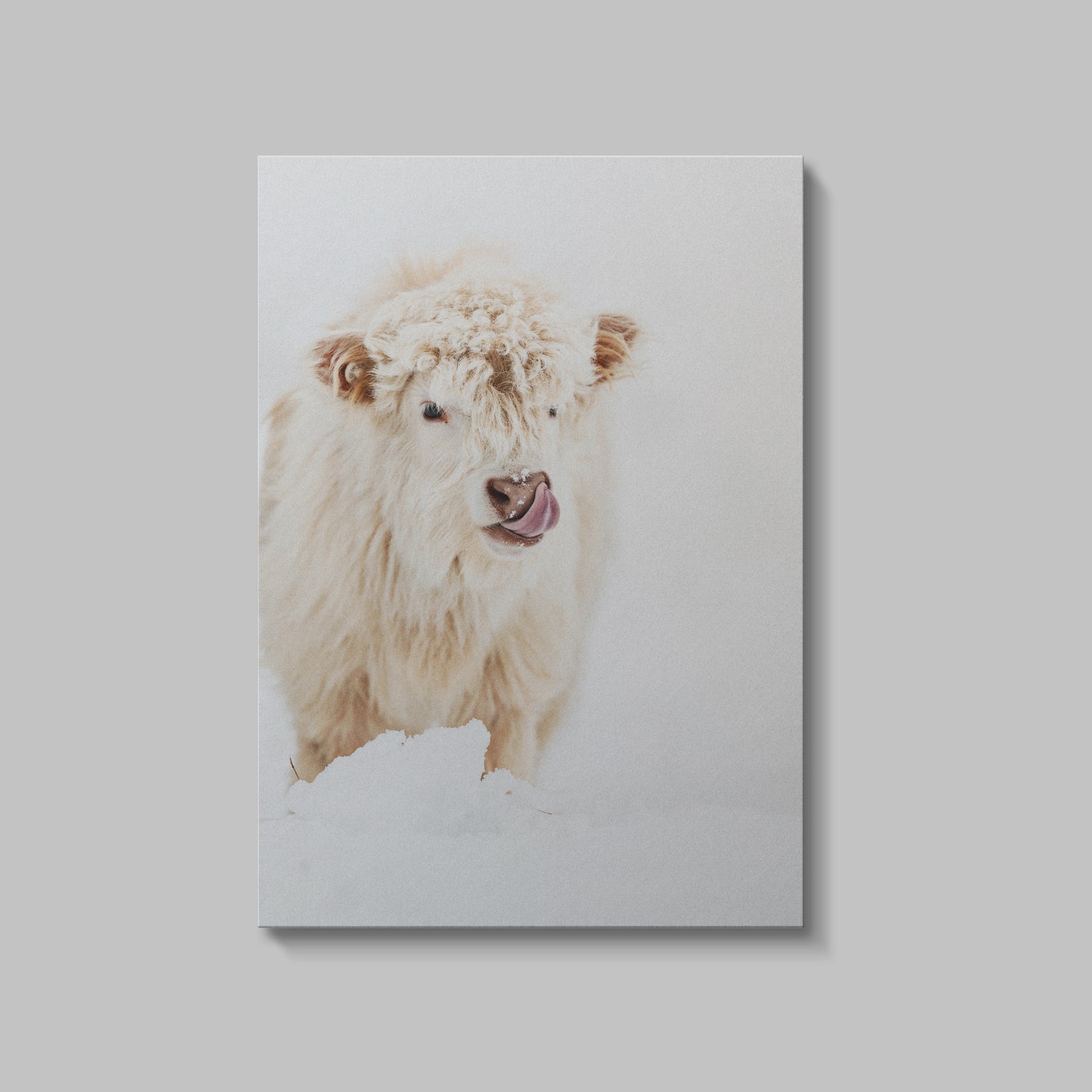 Pearl Snow Digital Download by Katie Van Slyke