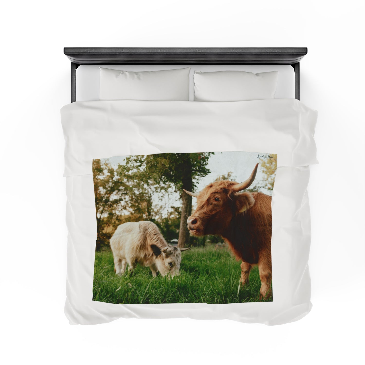 Poppy and Petunia Plush Blanket by Katie Van Slyke