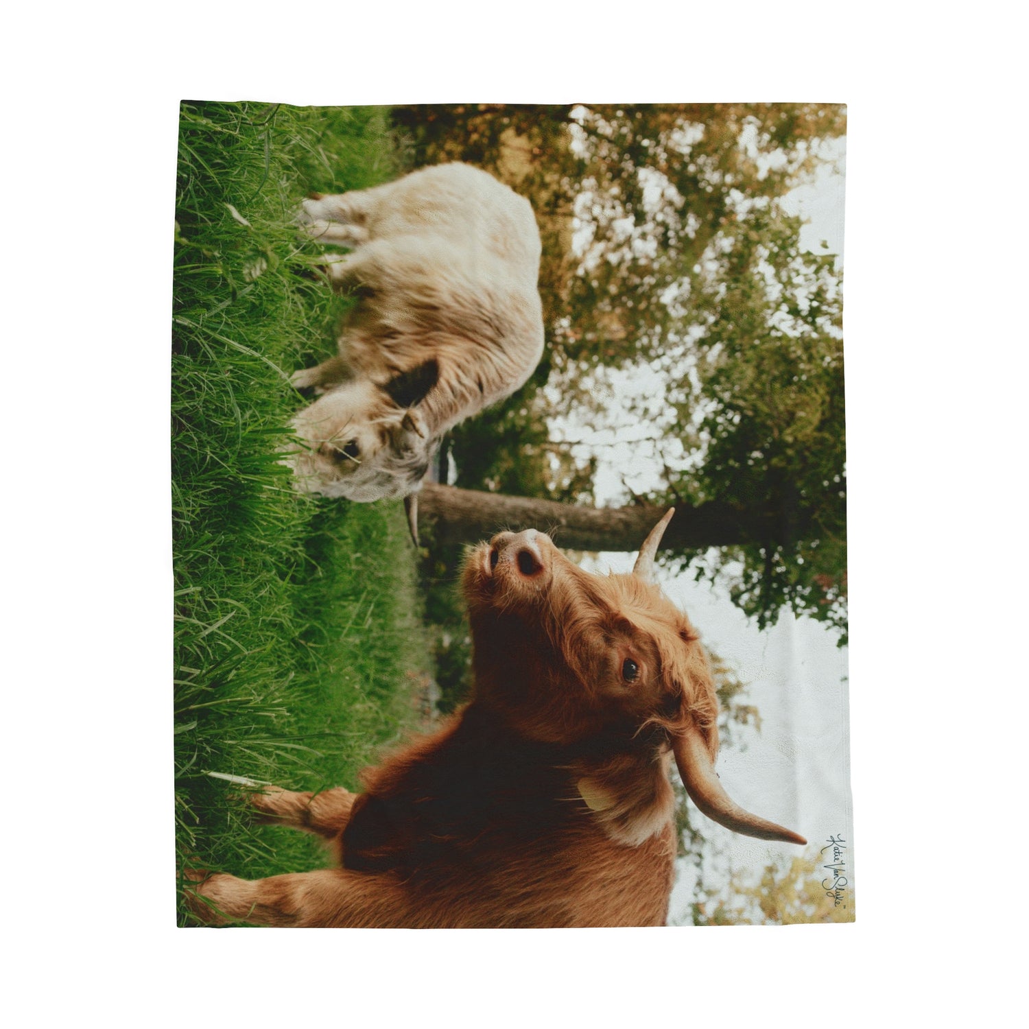 Poppy and Petunia Plush Blanket by Katie Van Slyke