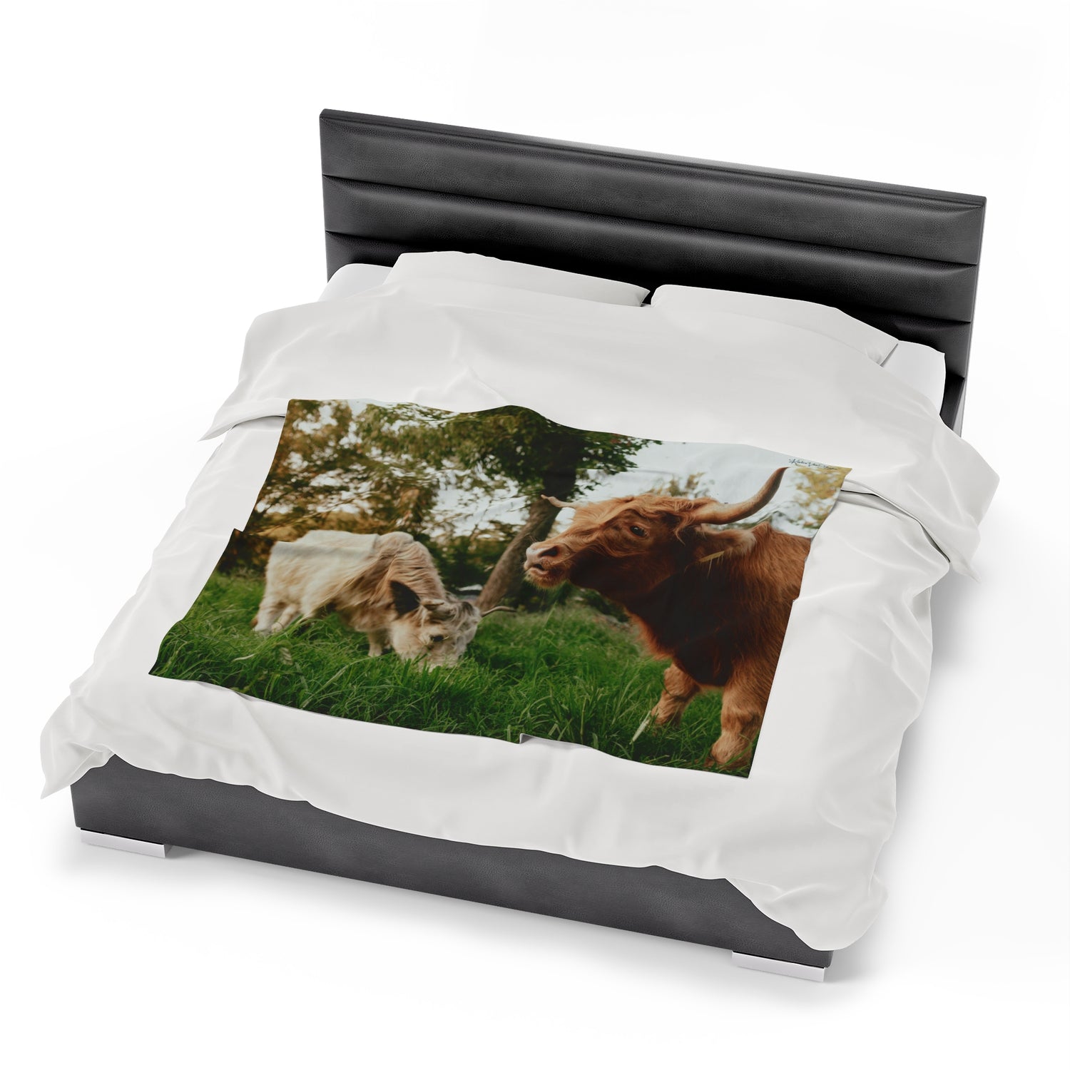 Poppy and Petunia Plush Blanket by Katie Van Slyke