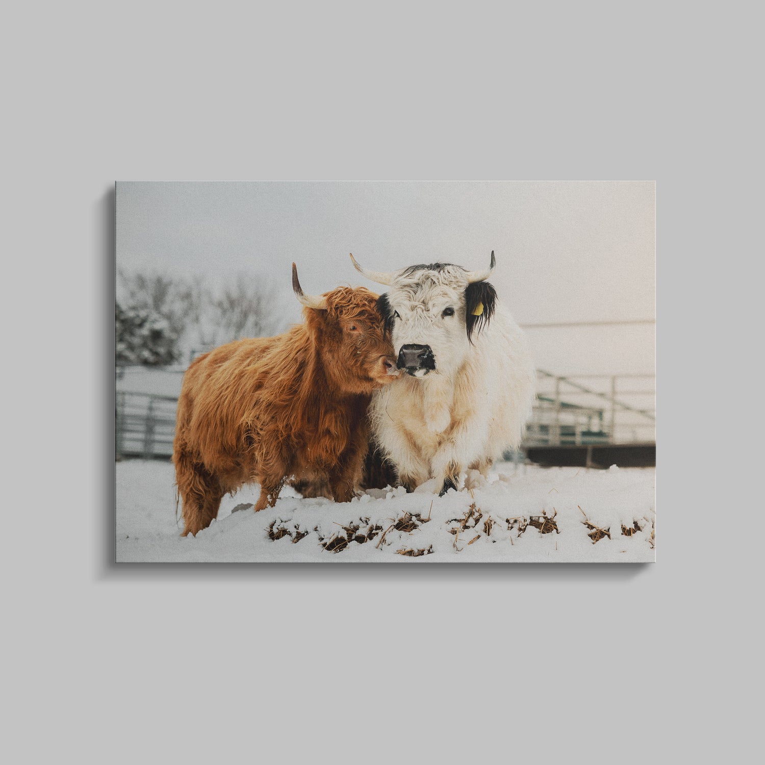 Poppy and Petunia Snow Digital Download by Katie Van Slyke