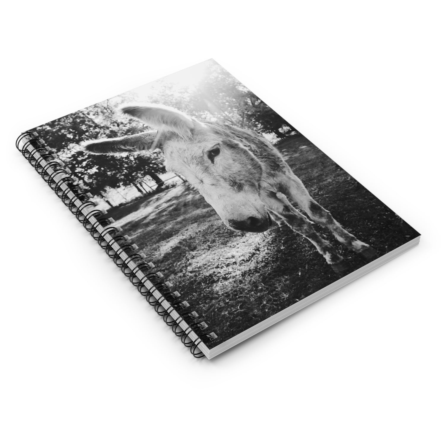 Rooster Notebook by Katie Van Slyke