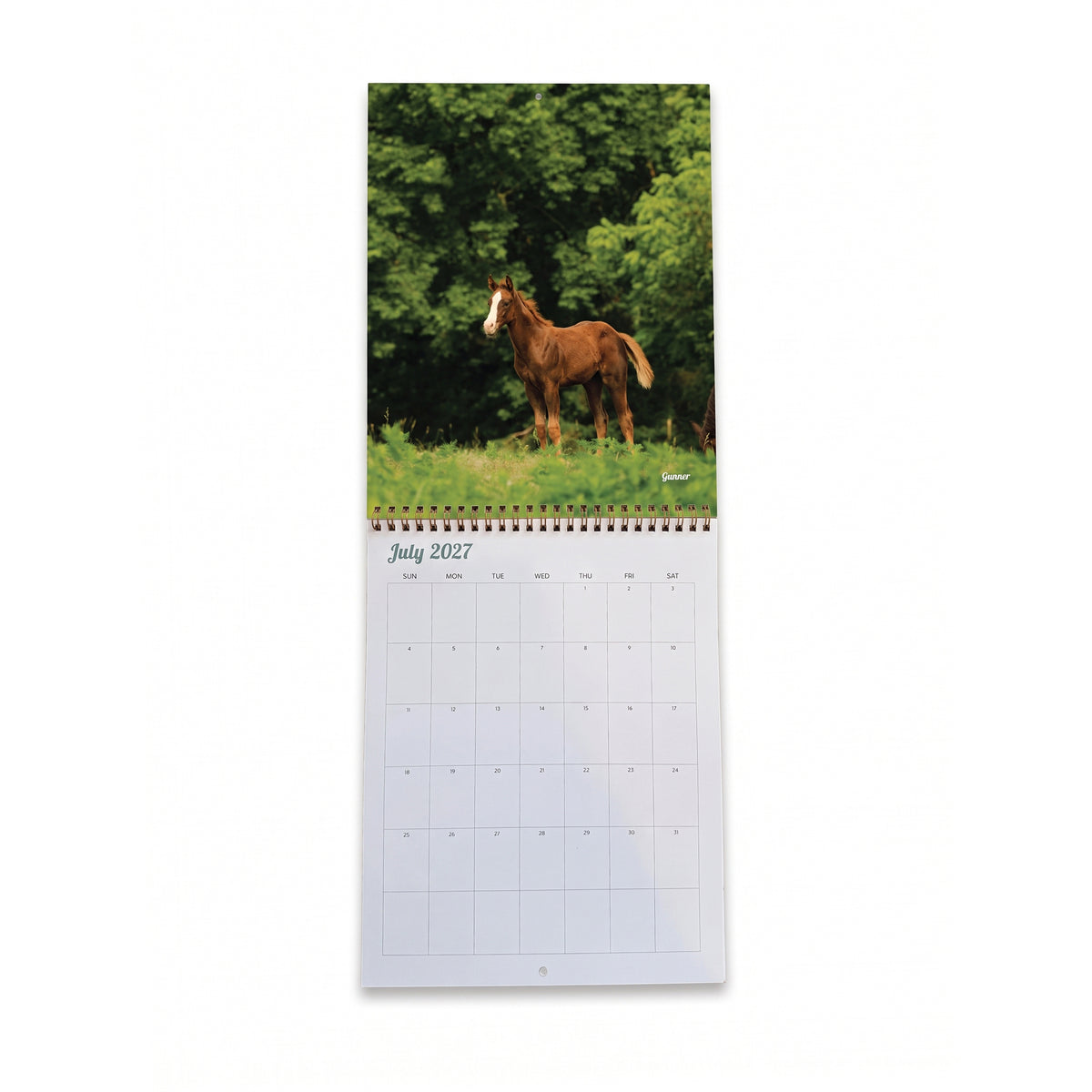 2027 Foals Calendar by Katie Van Slyke®