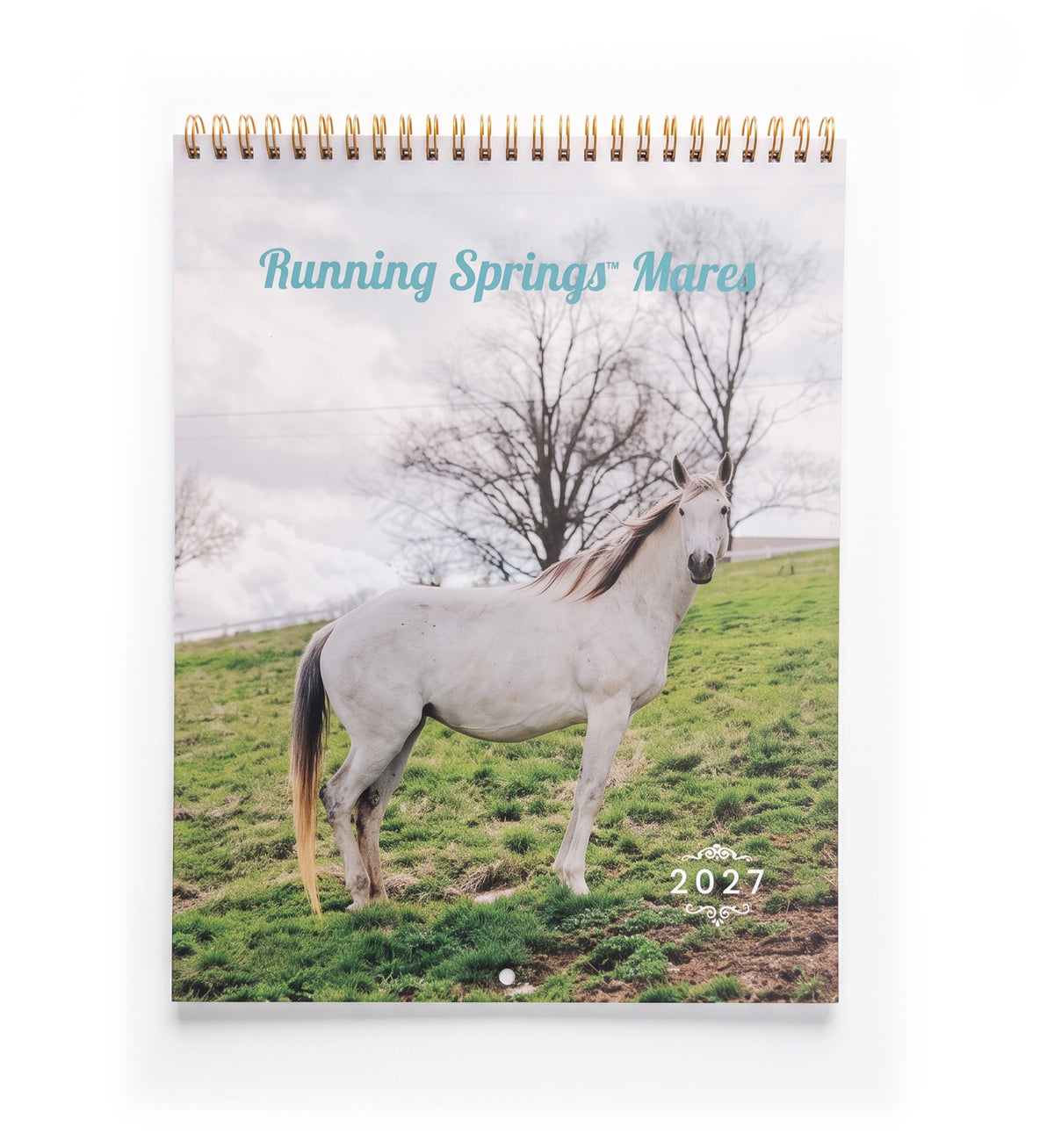2027 Mares Calendar by Katie Van Slyke - Front