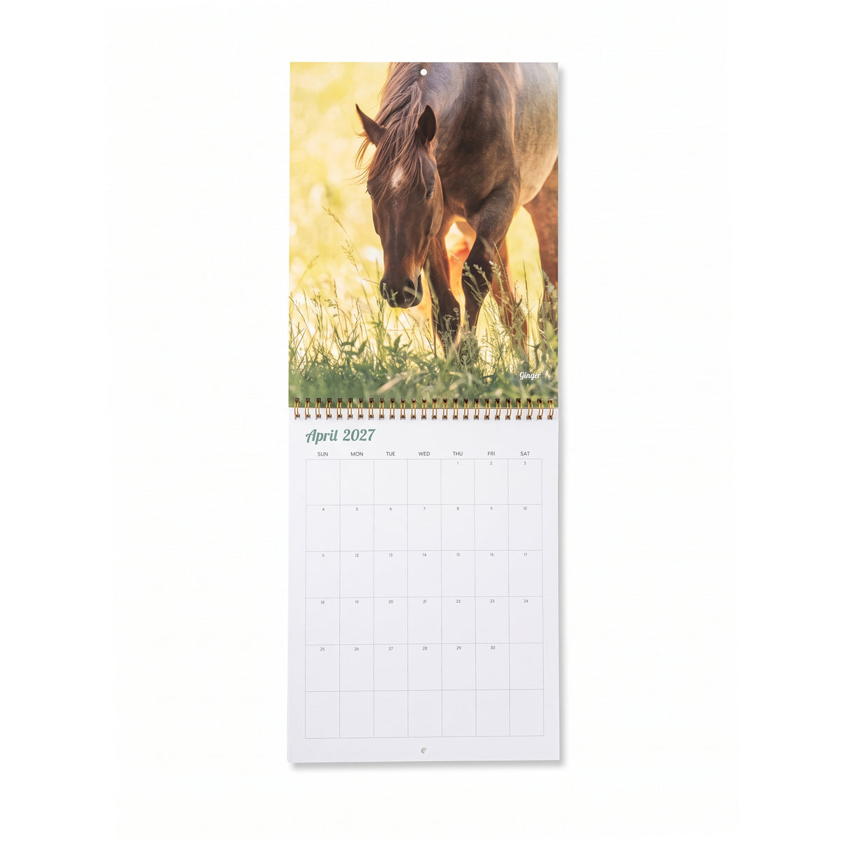 2027 Mares Calendar by Katie Van Slyke®