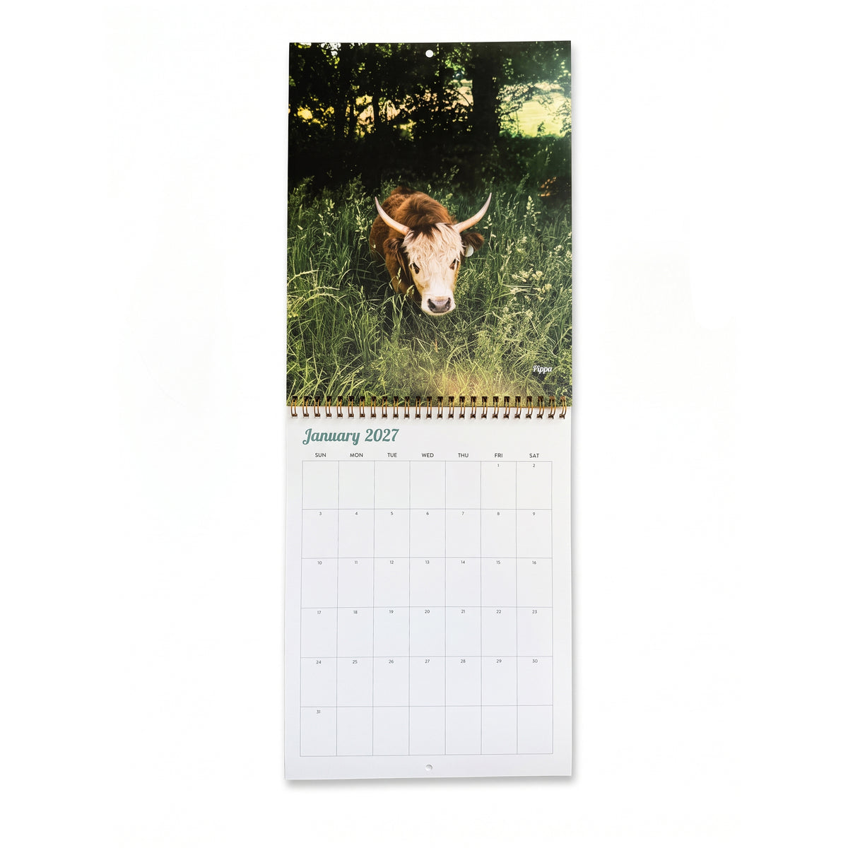 2027 Mini Cows Calendar by Katie Van Slyke®