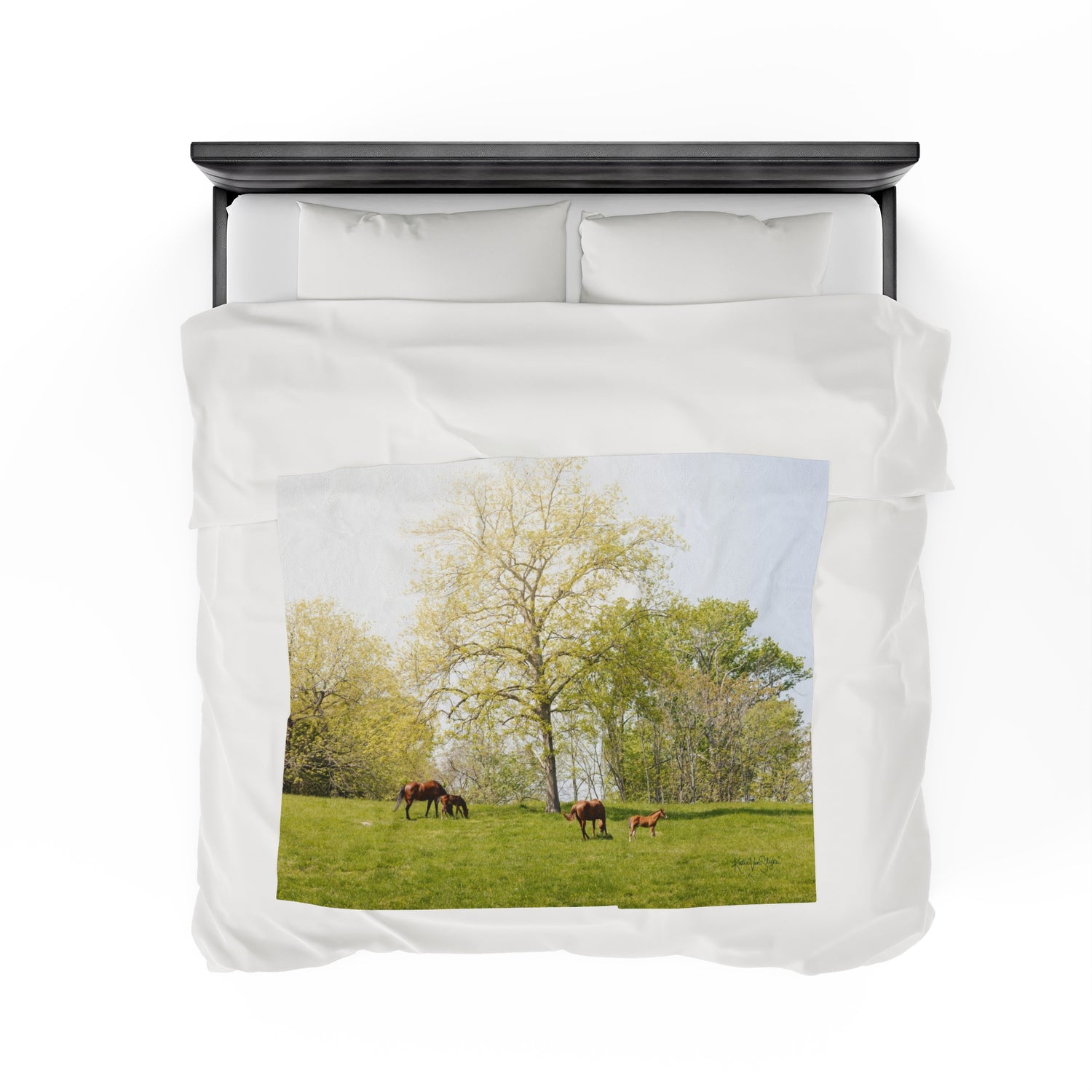 Running Springs Plush Blanket by Katie Van Slyke