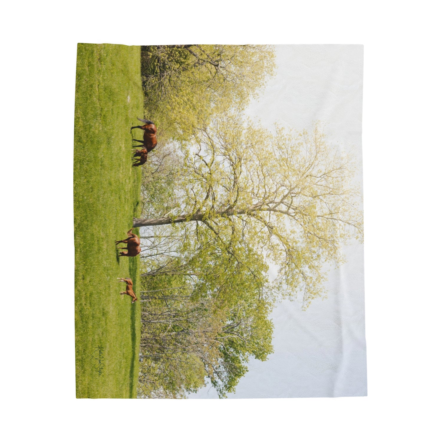 Running Springs Plush Blanket by Katie Van Slyke