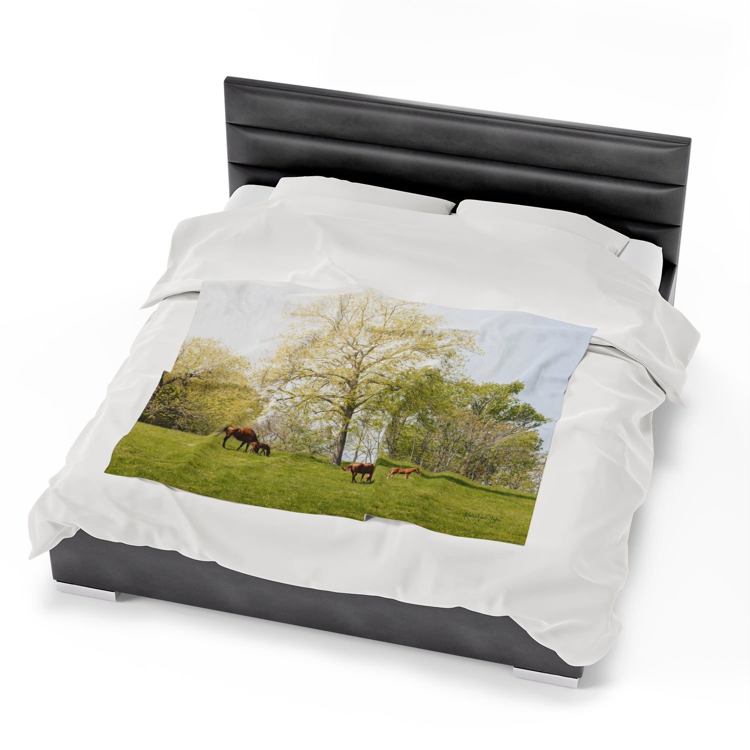 Running Springs Plush Blanket by Katie Van Slyke