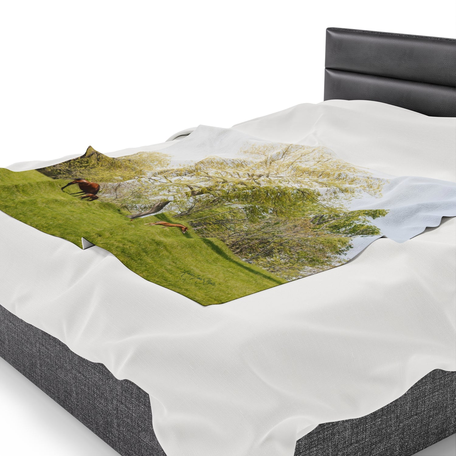 Running Springs Plush Blanket by Katie Van Slyke