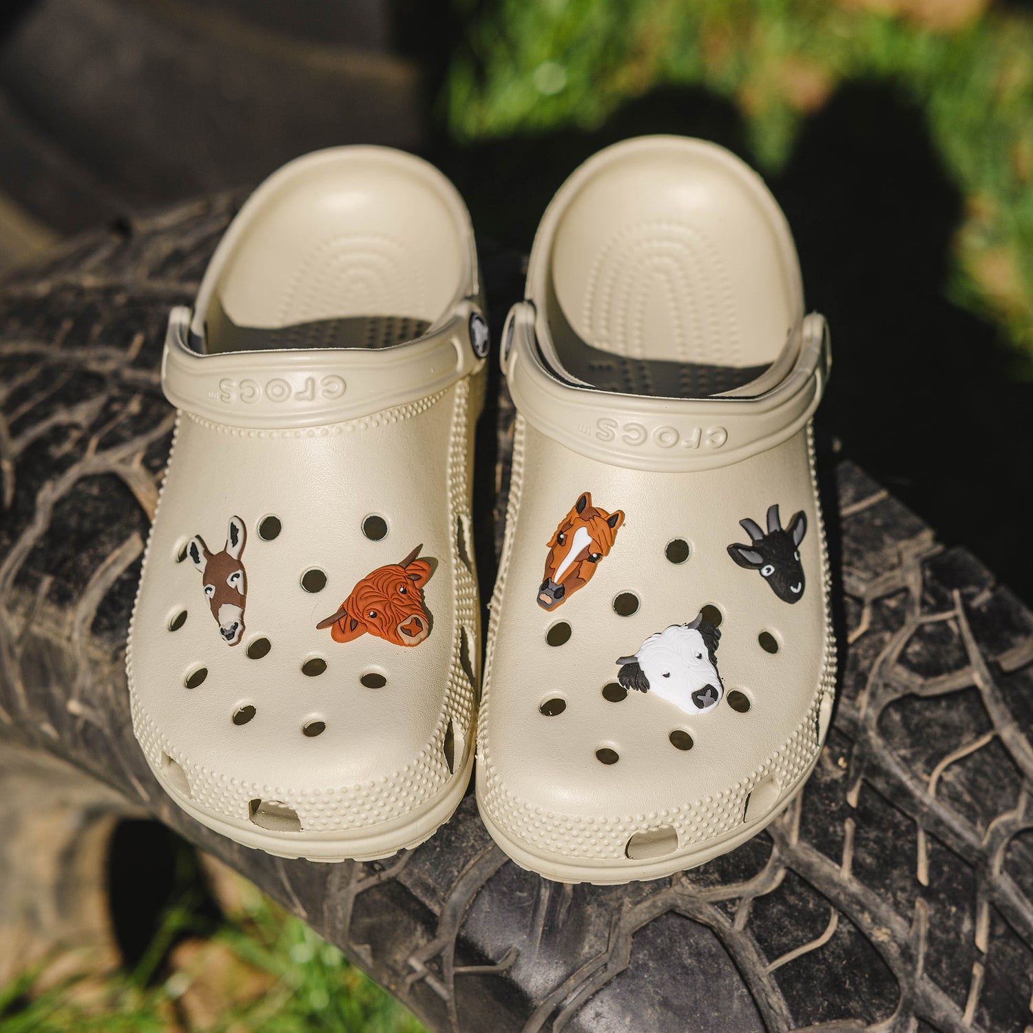 Mini Farm Shoe Charms on crocs