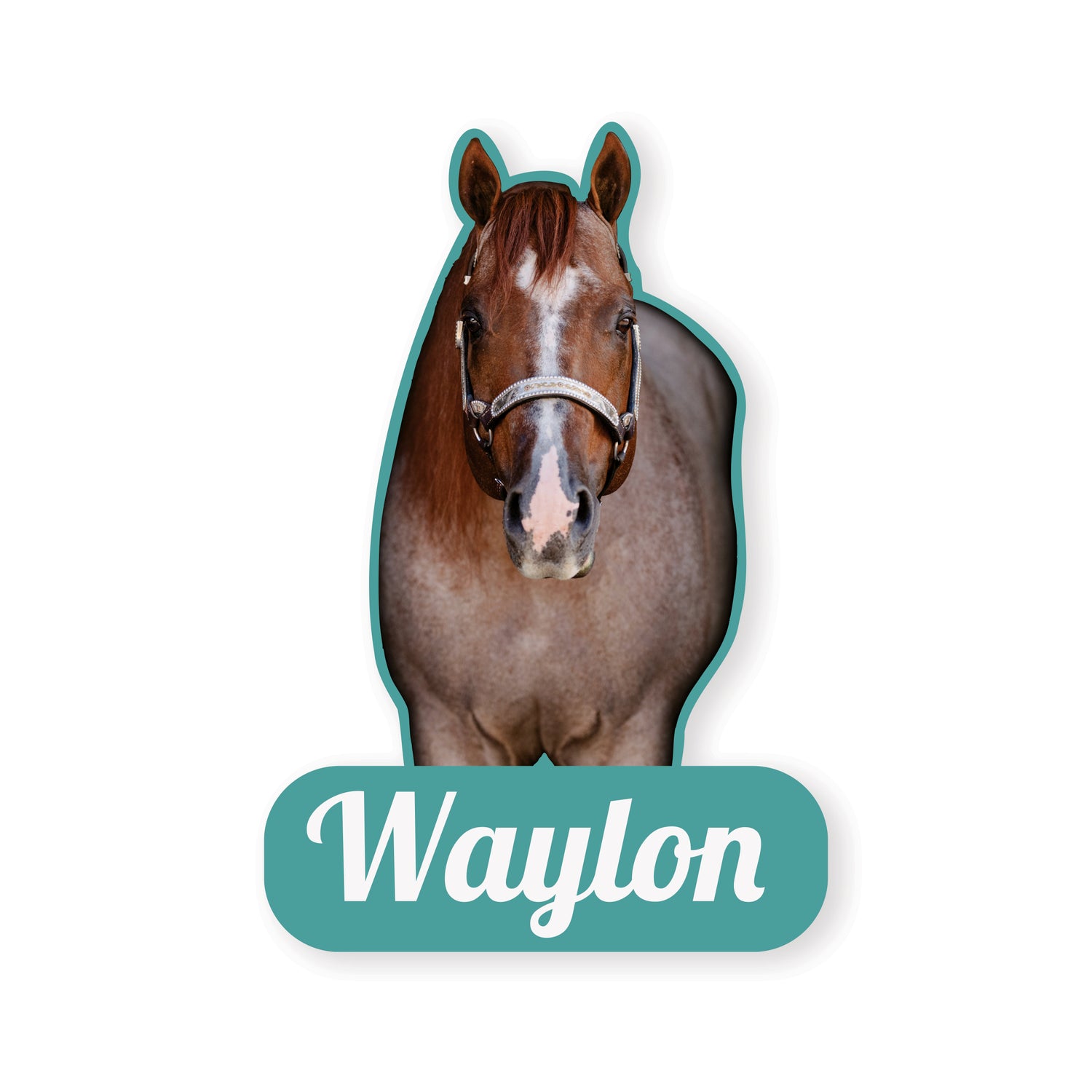 Stallions Sticker 5-Pack by Katie Van Slyke™ VS Code Red