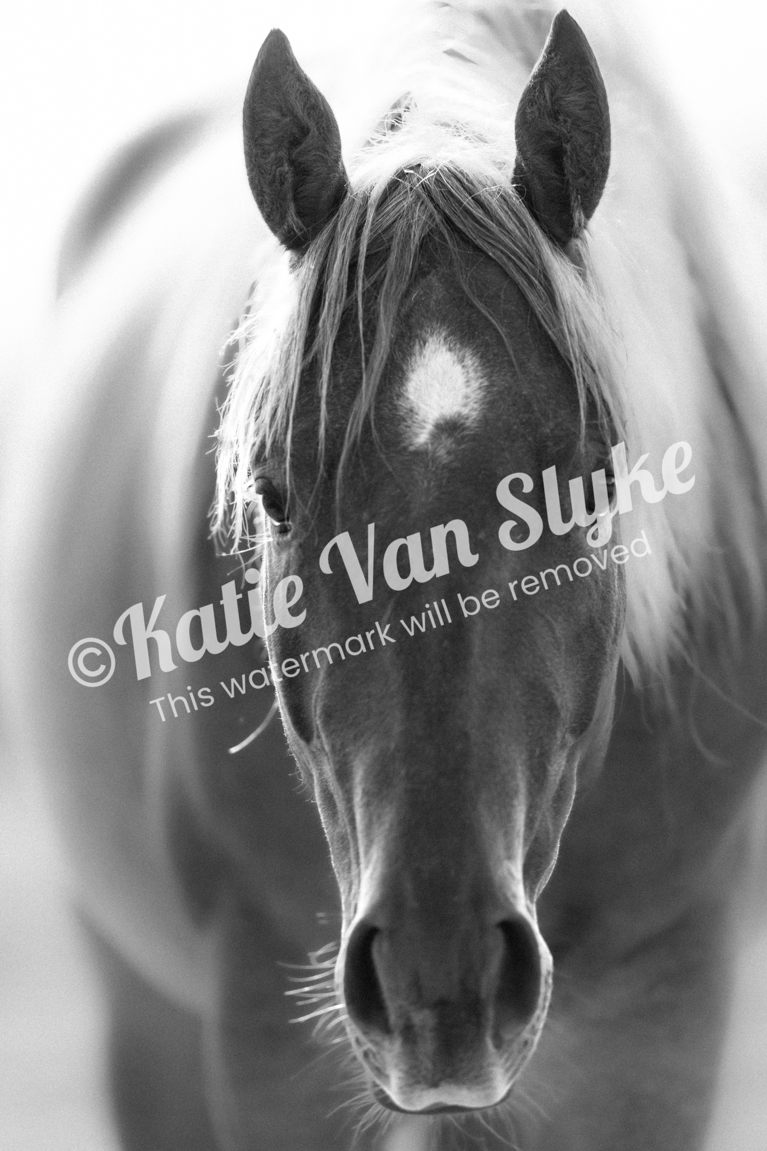 Ginger Digital Download by Katie Van Slyke™
