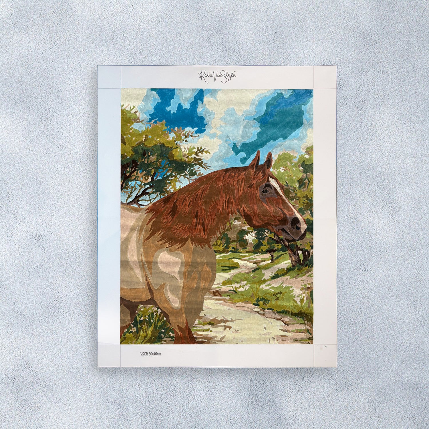 VS Code Red Paint by Number Kit by Katie Van Slyke®